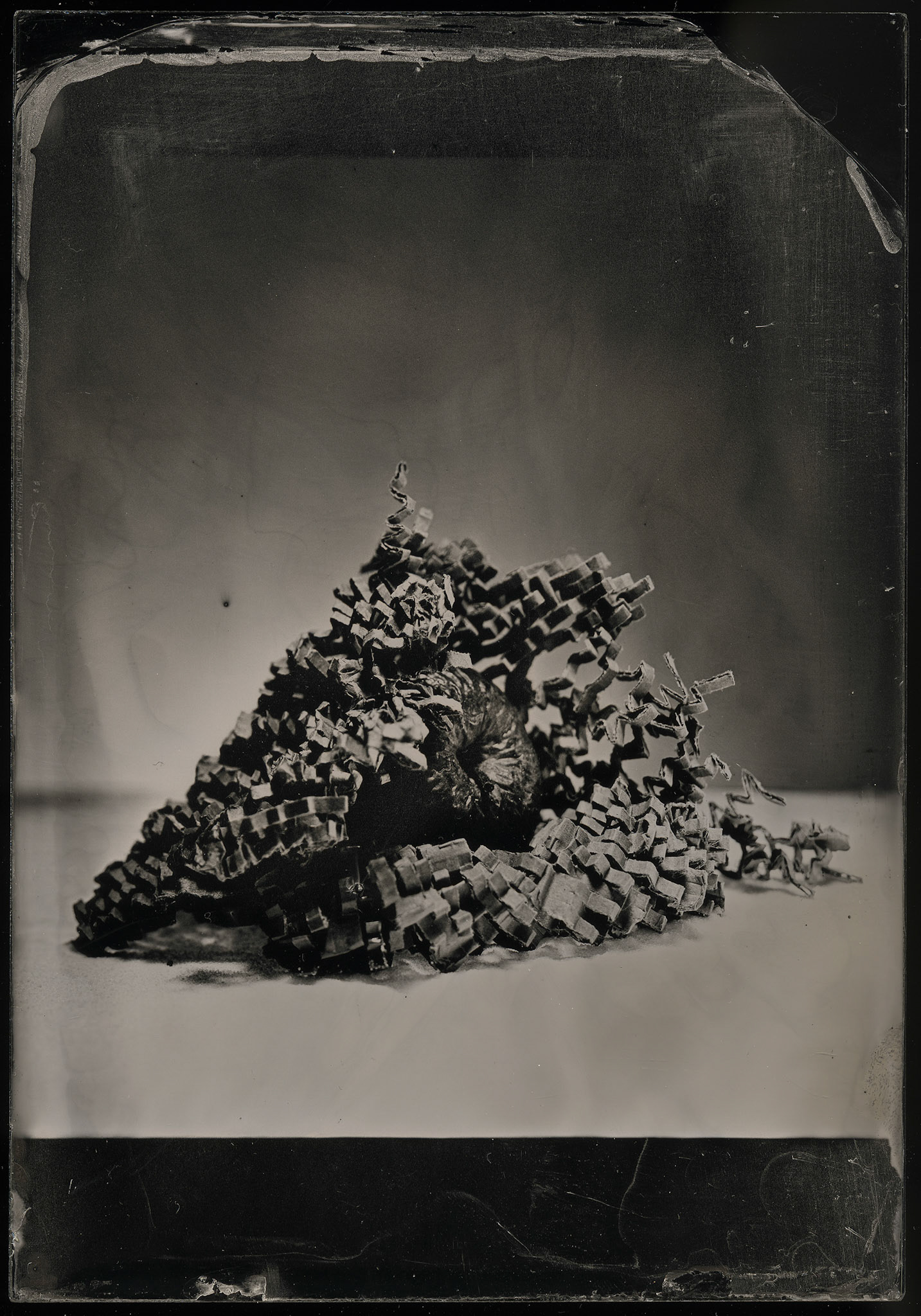 ambrotype wetplate