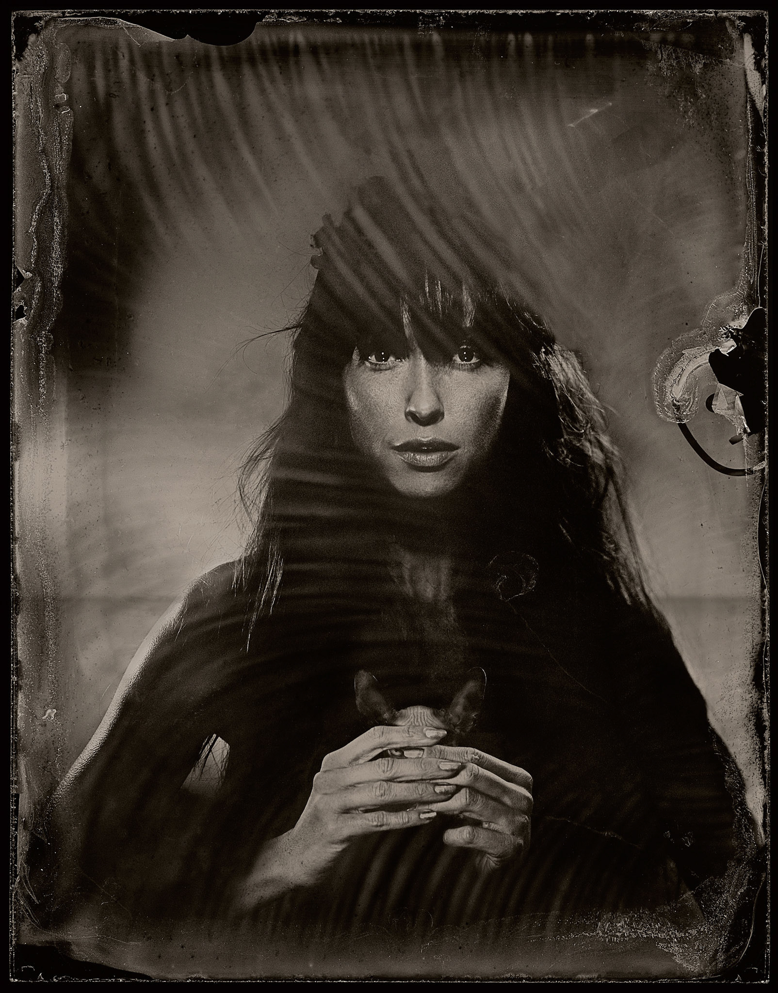 ambrotype wetplate