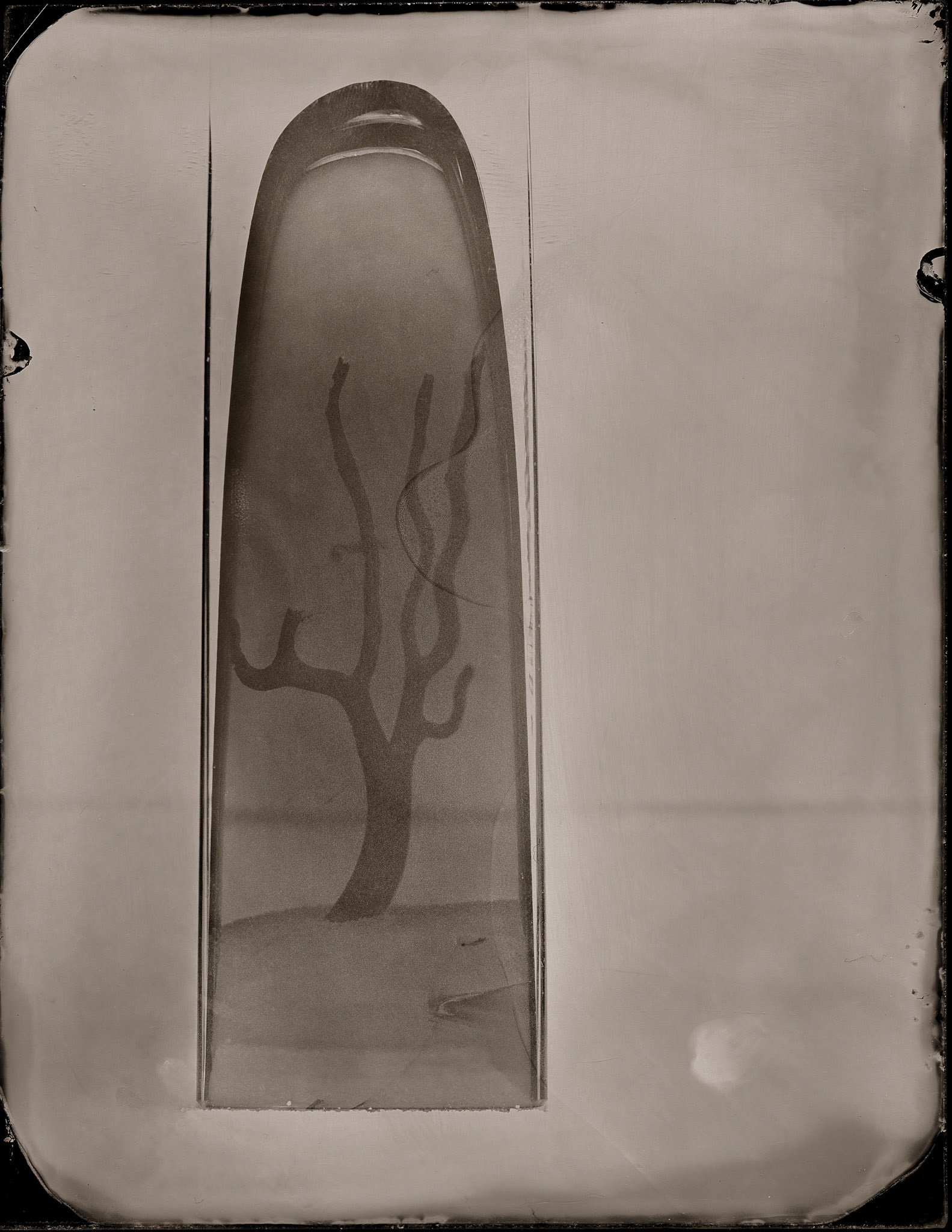ambrotype wetplate