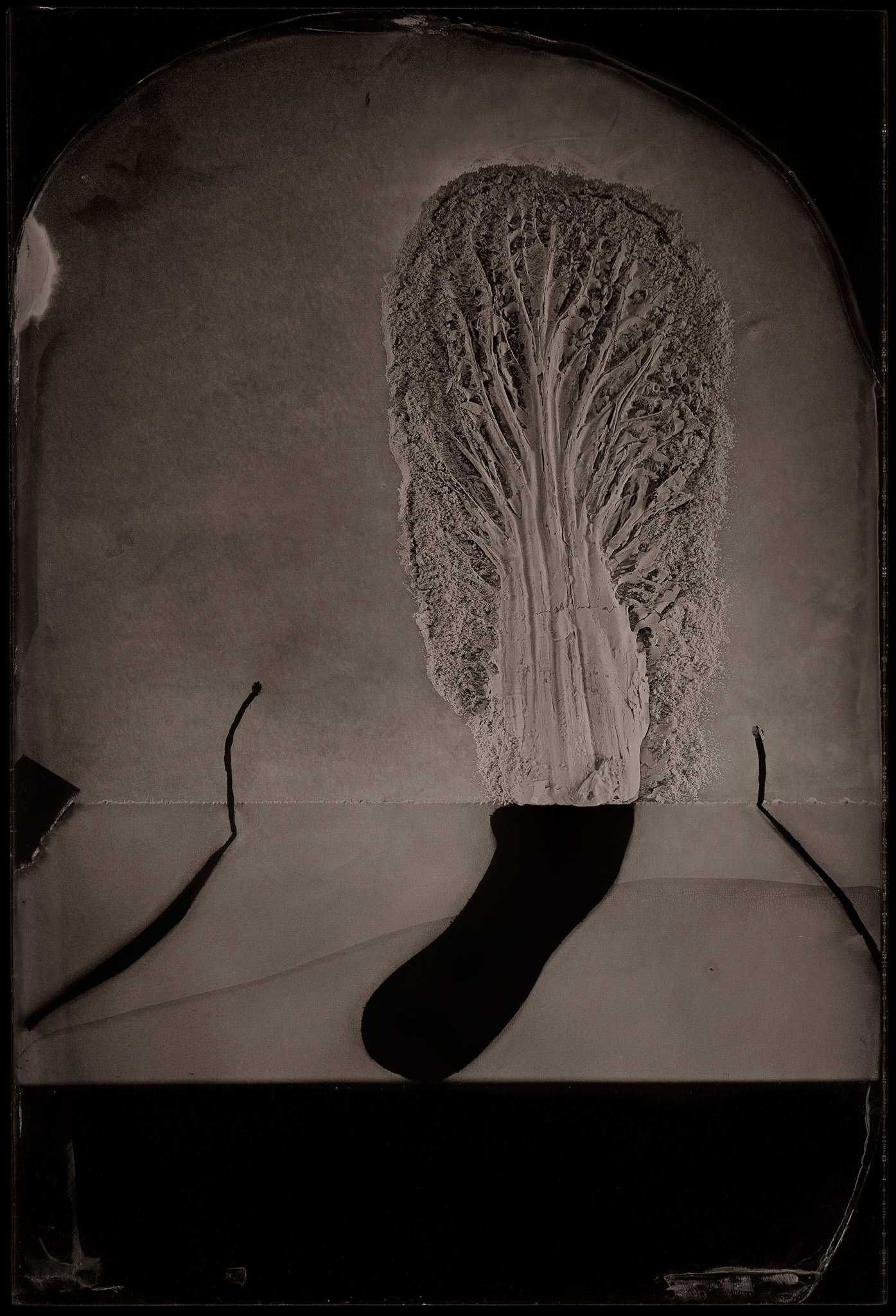 ambrotype wetplate