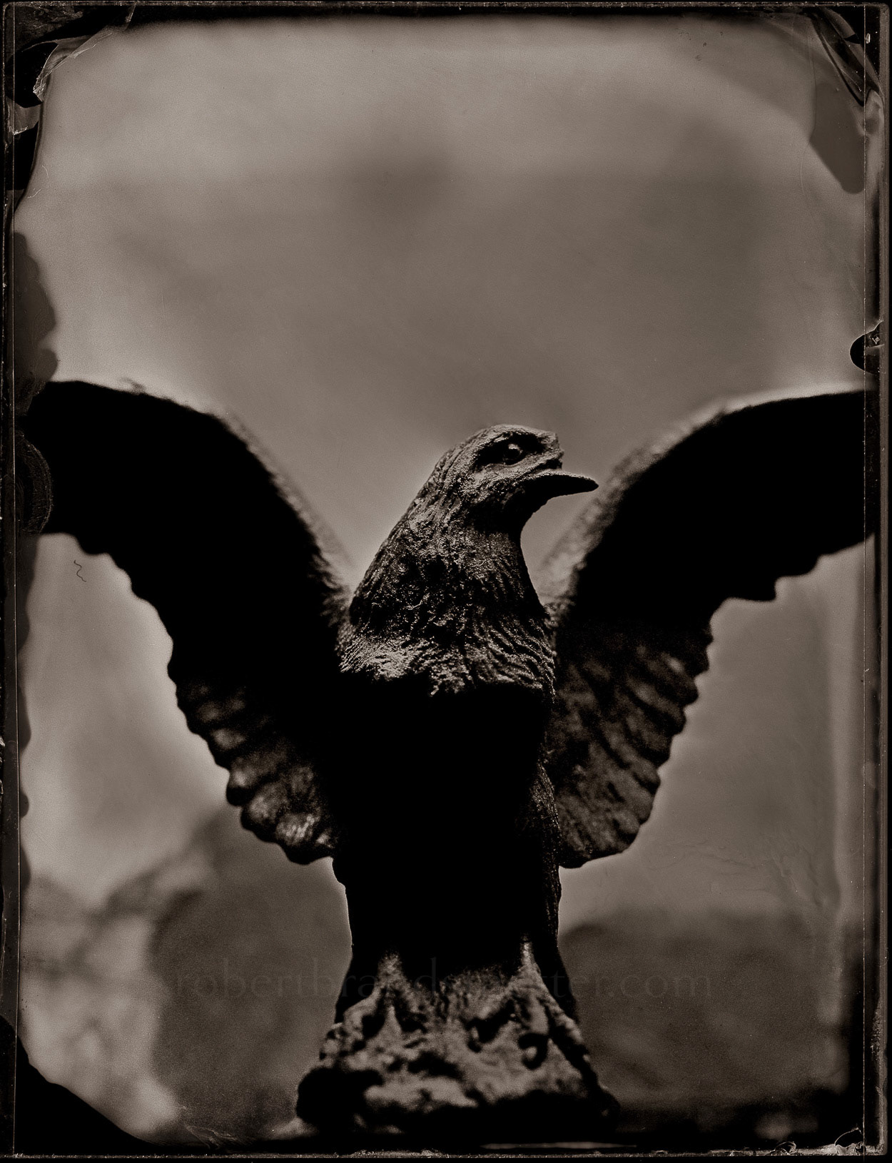 Eagle with Cut Wings