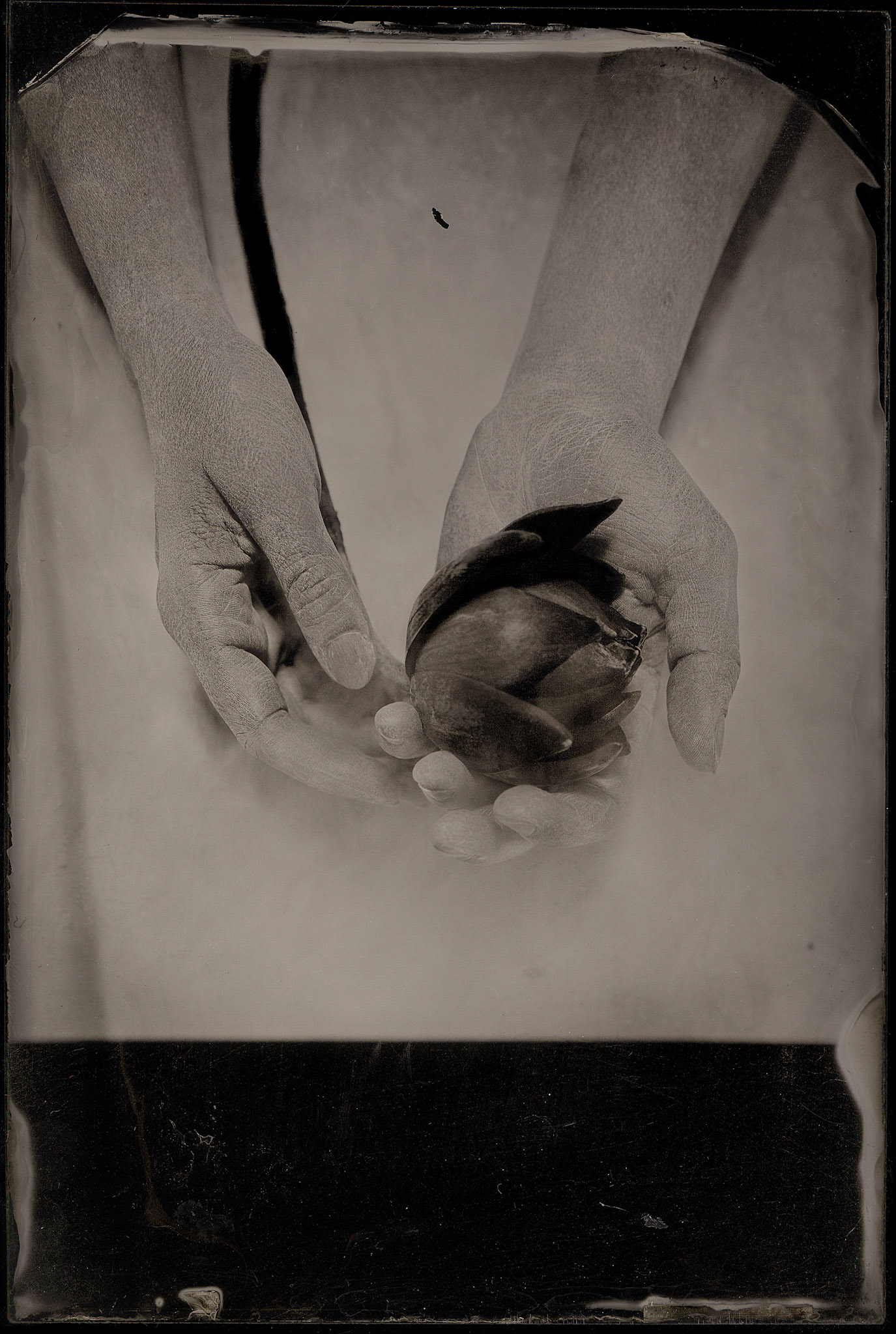 ambrotype wetplate