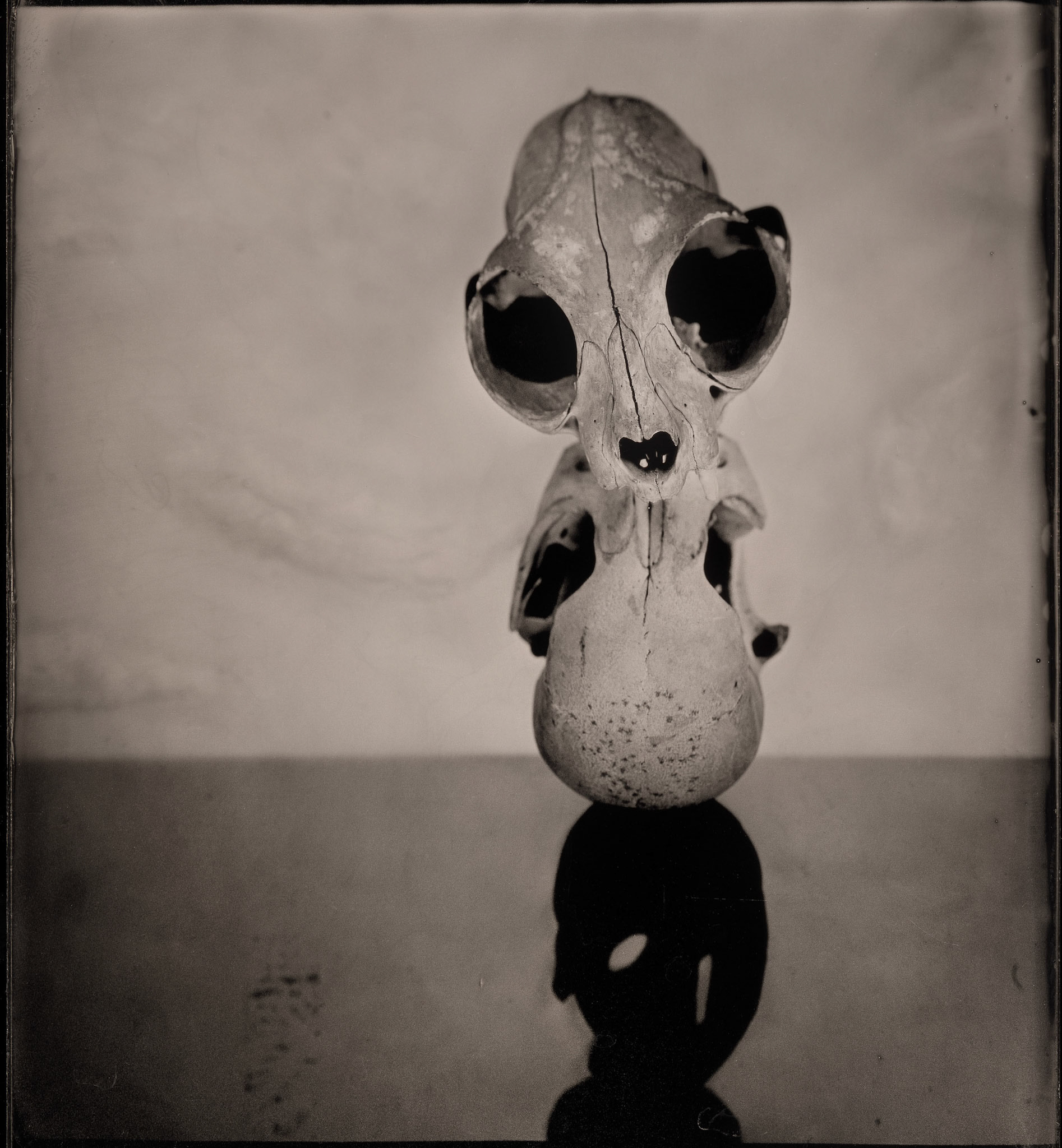 ambrotype wetplate