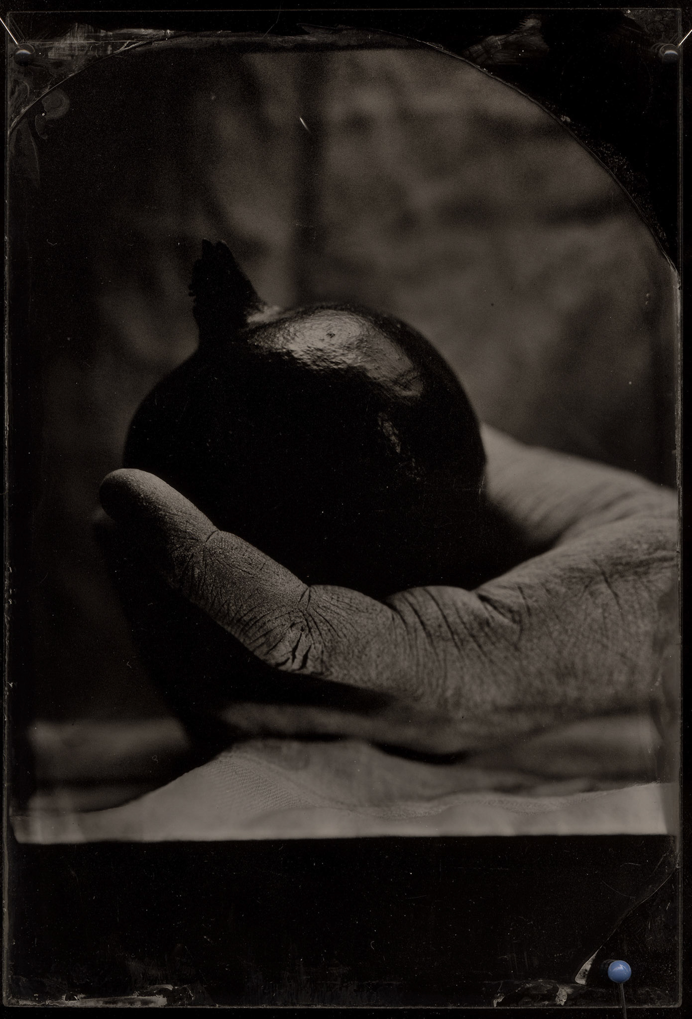ambrotype wetplate