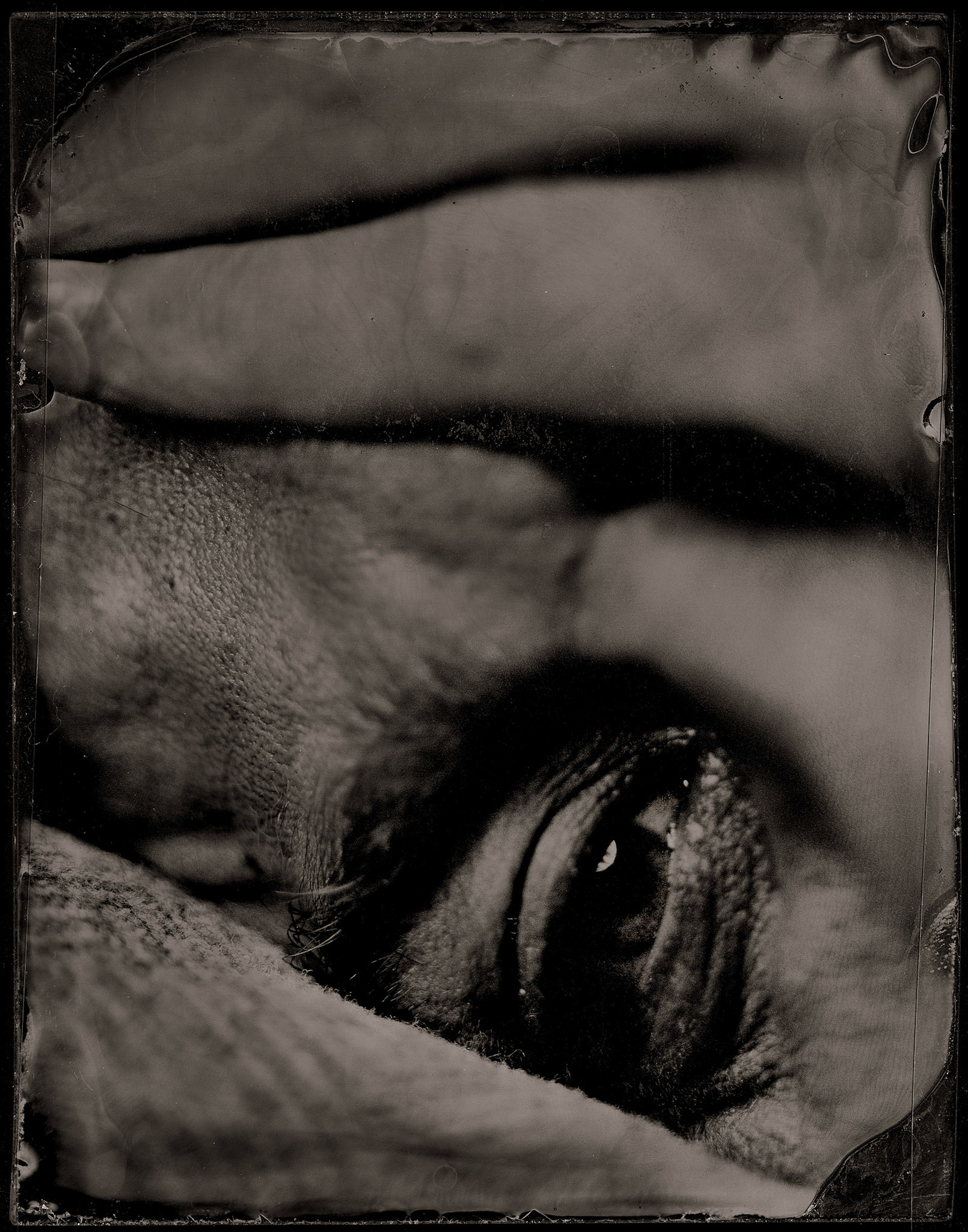 ambrotype wetplate