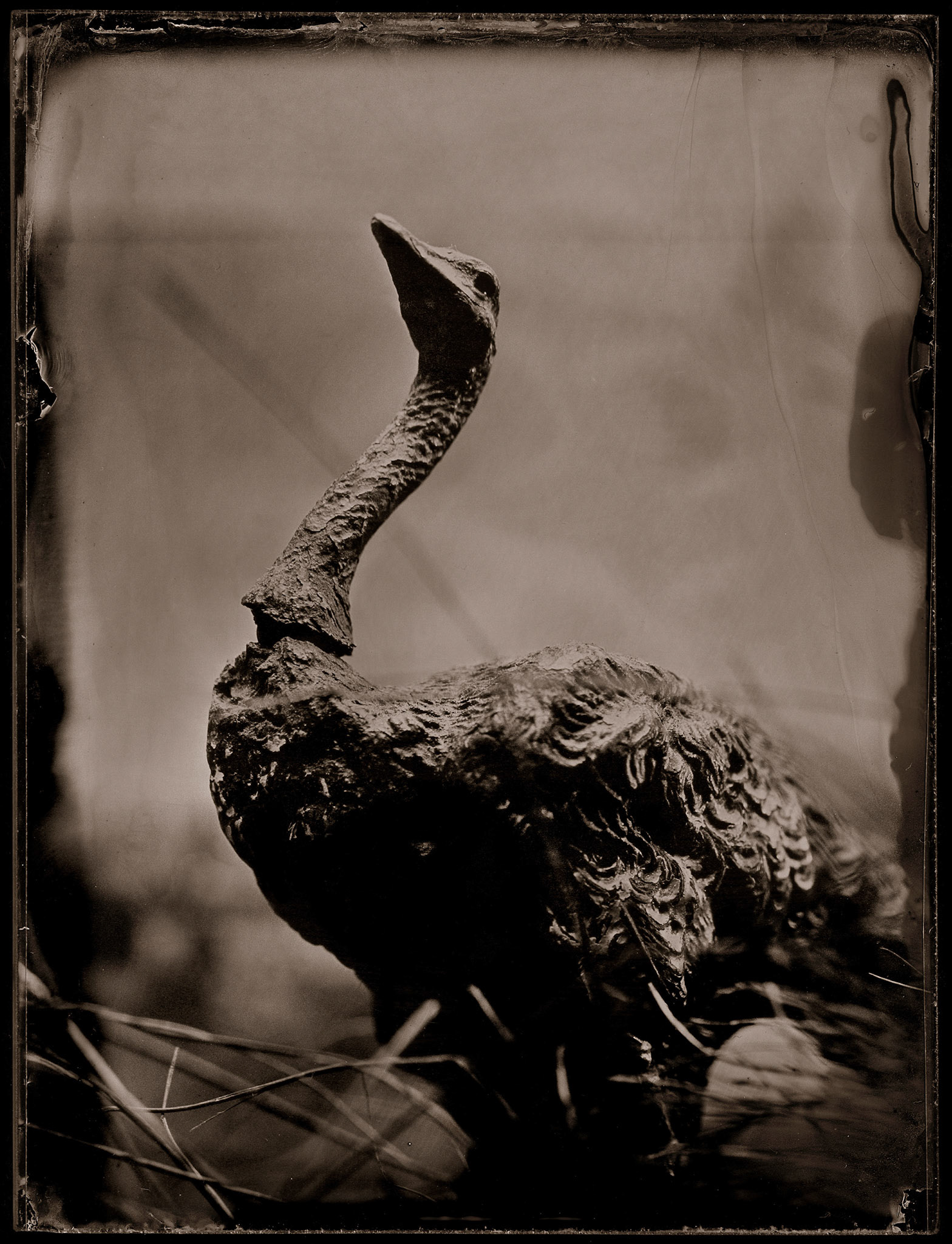 ambrotype wetplate