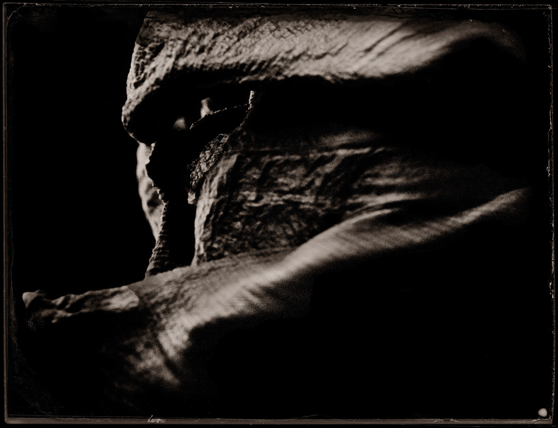 ambrotype wetplate