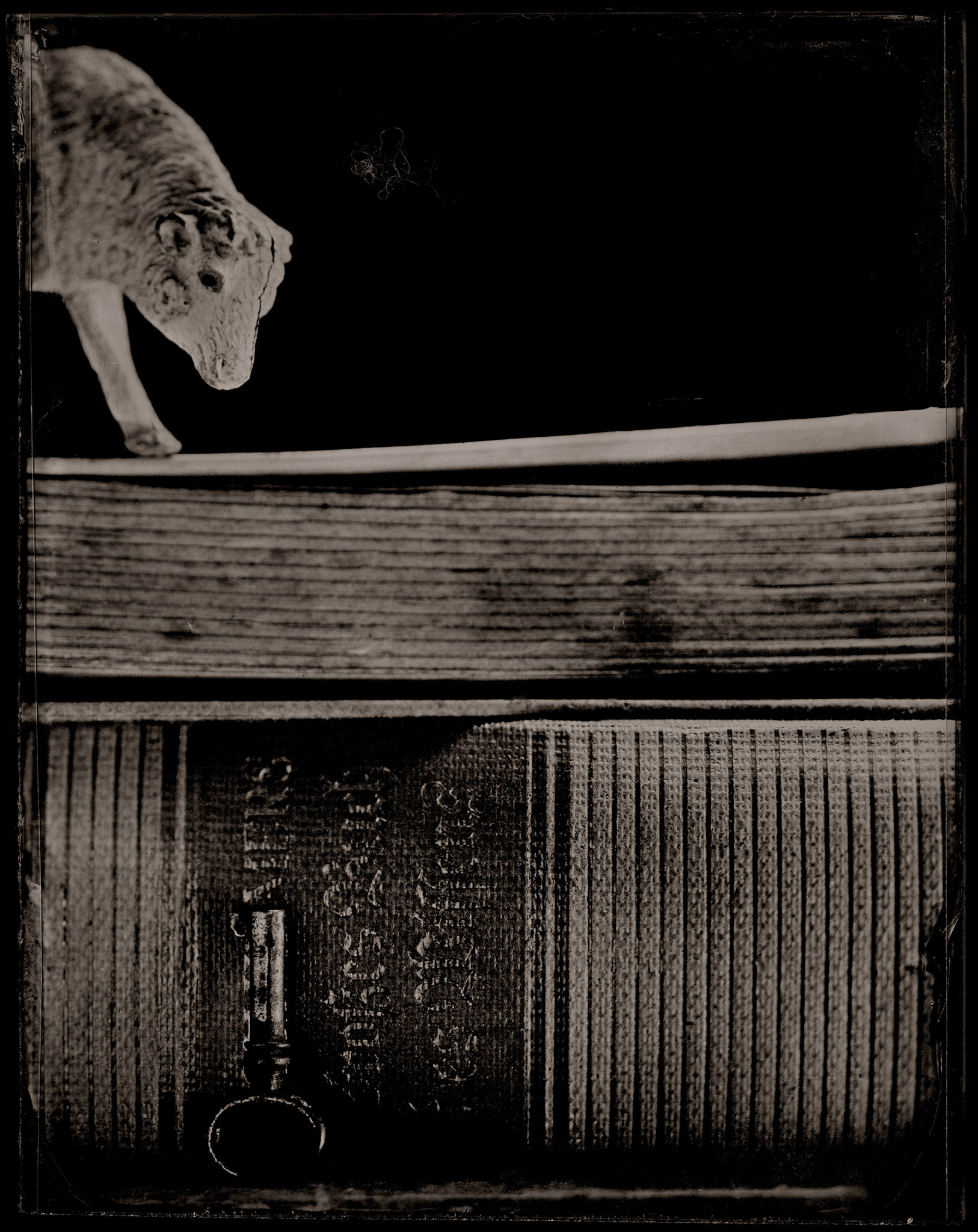 ambrotype wetplate