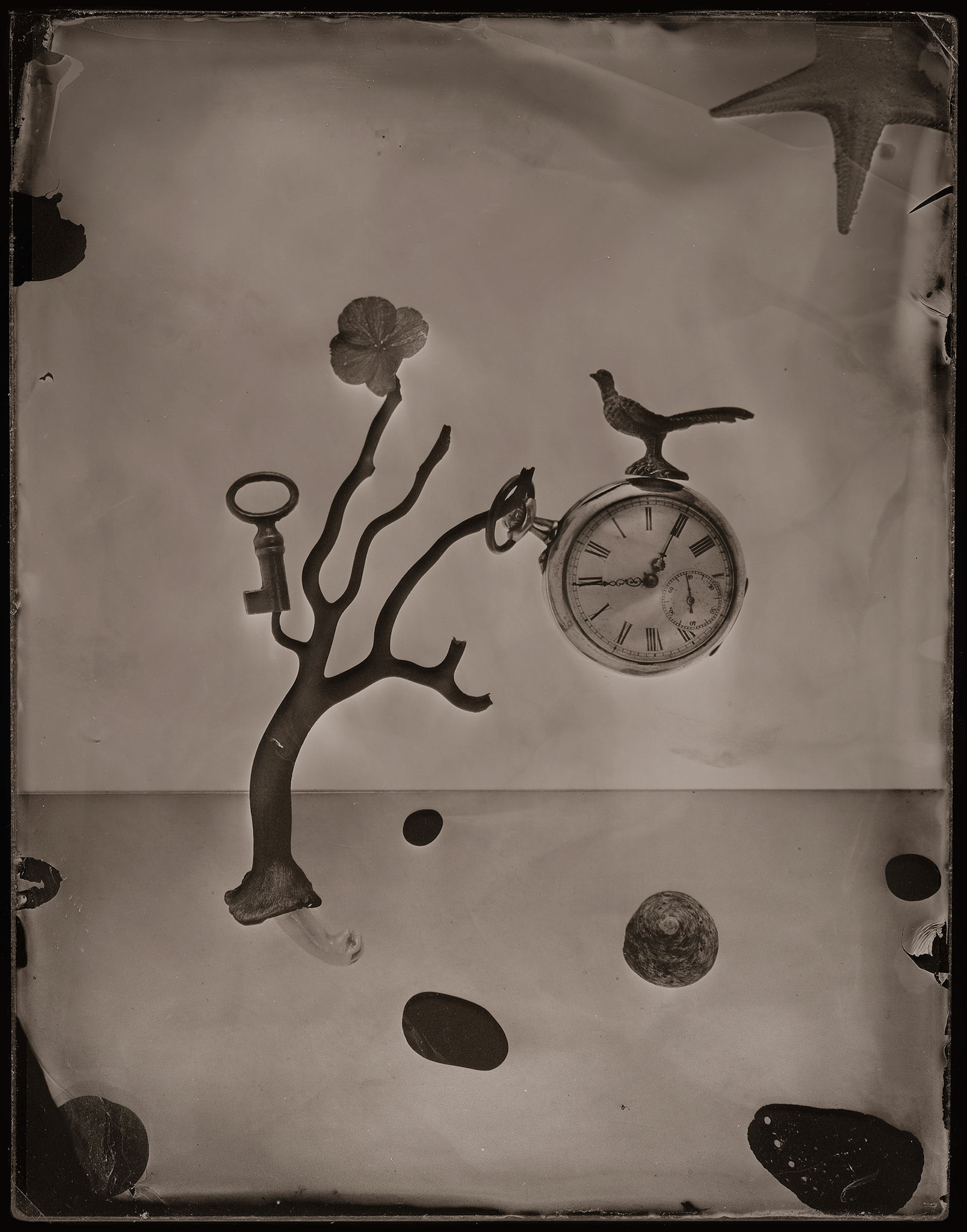 ambrotype wetplate
