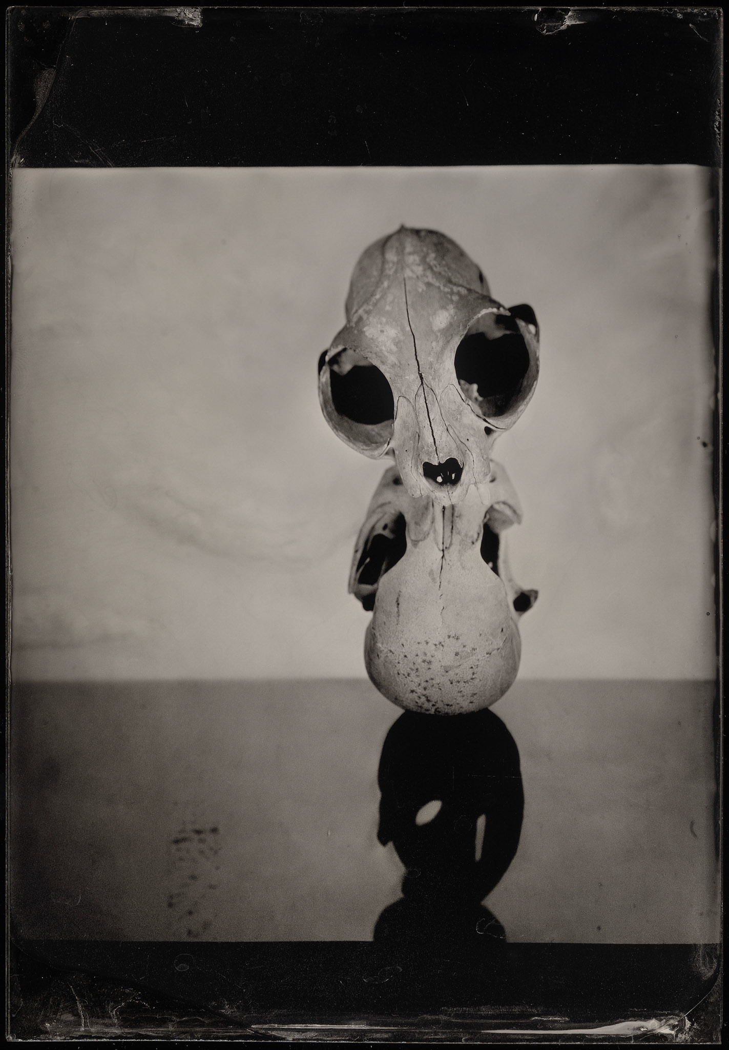 ambrotype wetplate