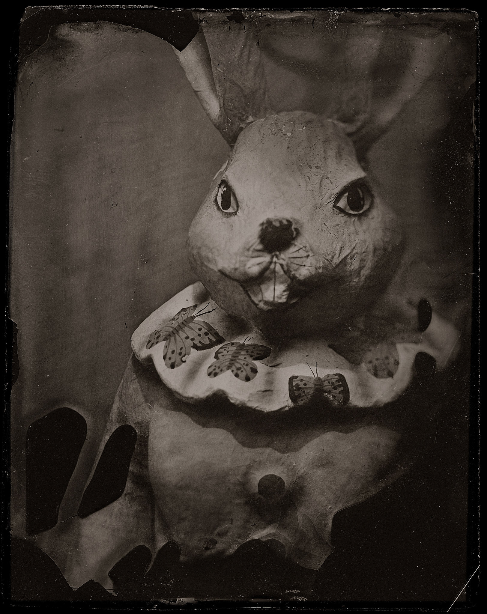 ambrotype wetplate