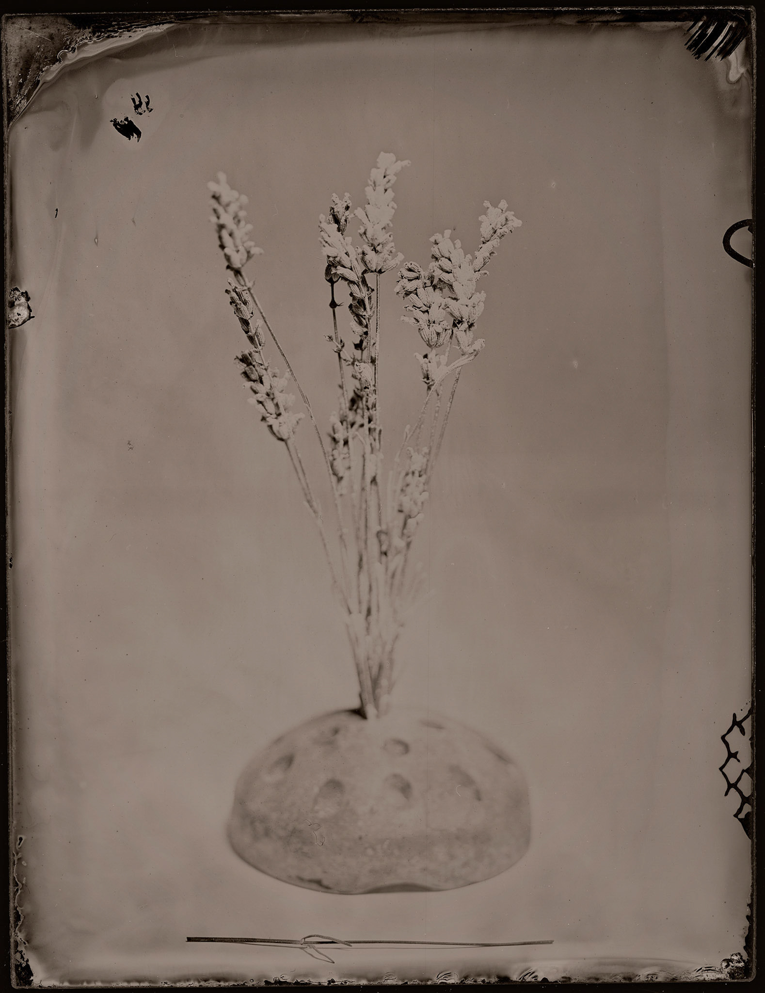 ambrotype wetplate