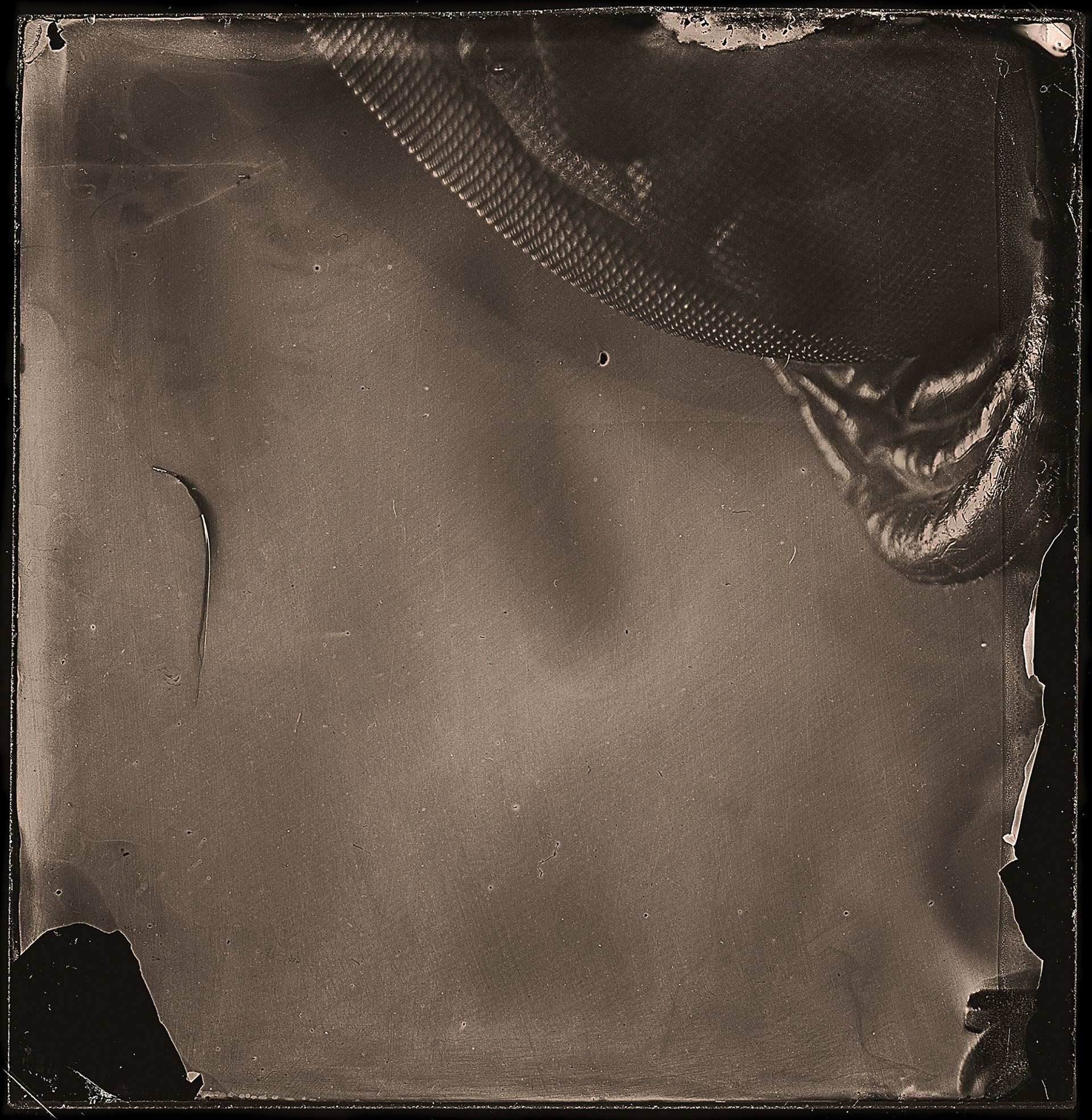 ambrotype wetplate