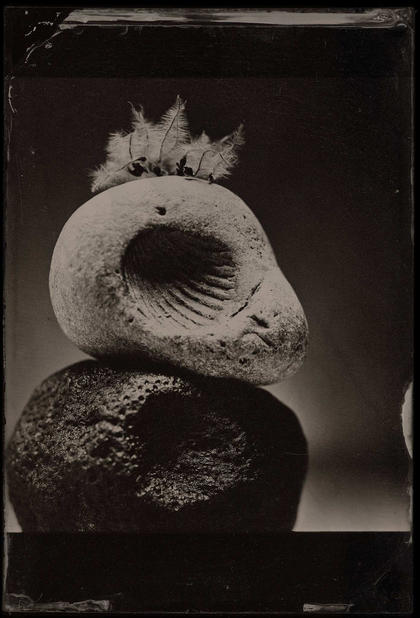 ambrotype wetplate