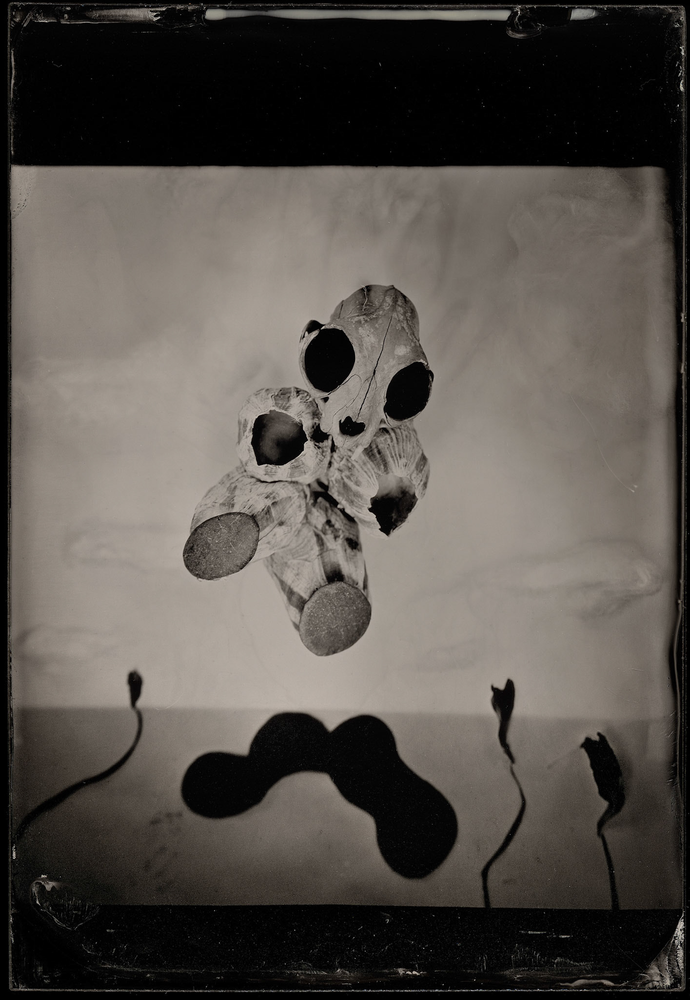 ambrotype wetplate