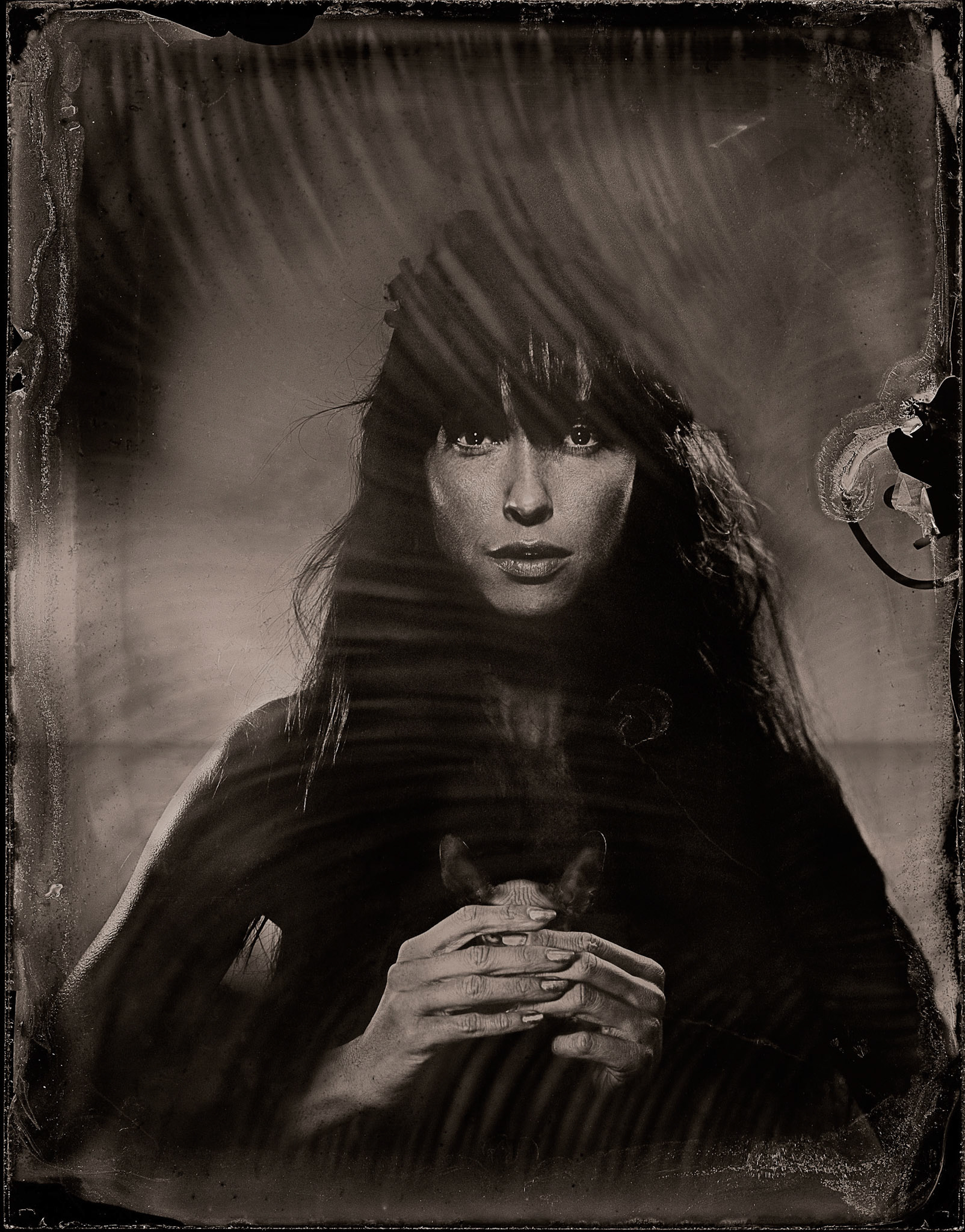 ambrotype wetplate