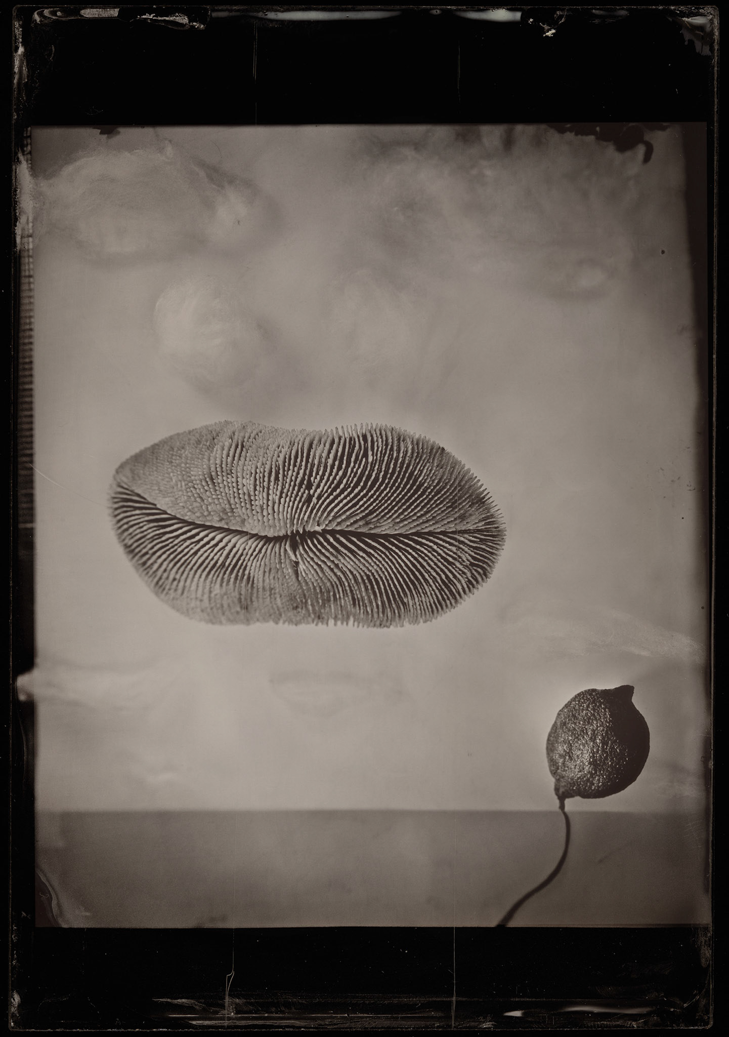 ambrotype wetplate