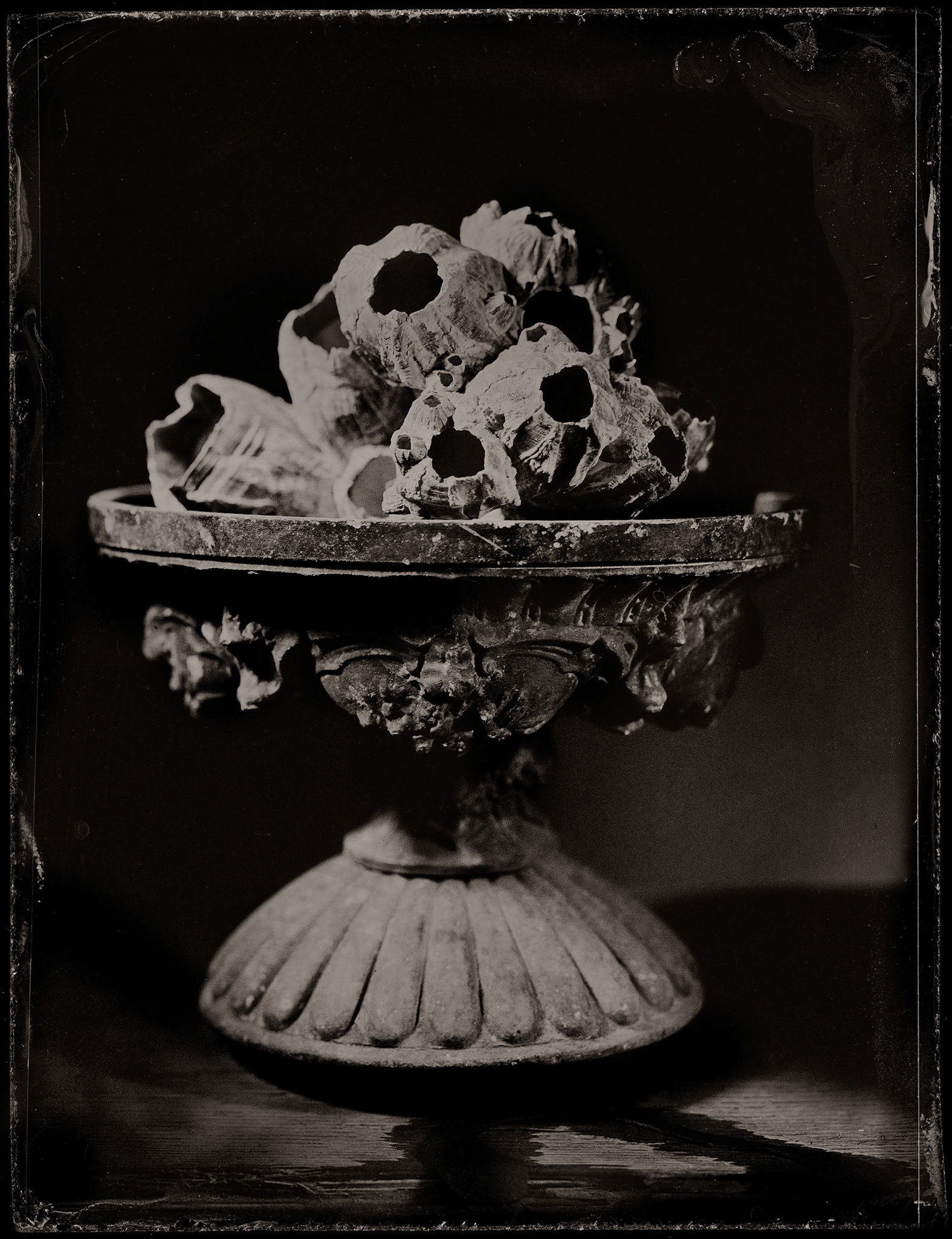 ambrotype wetplate
