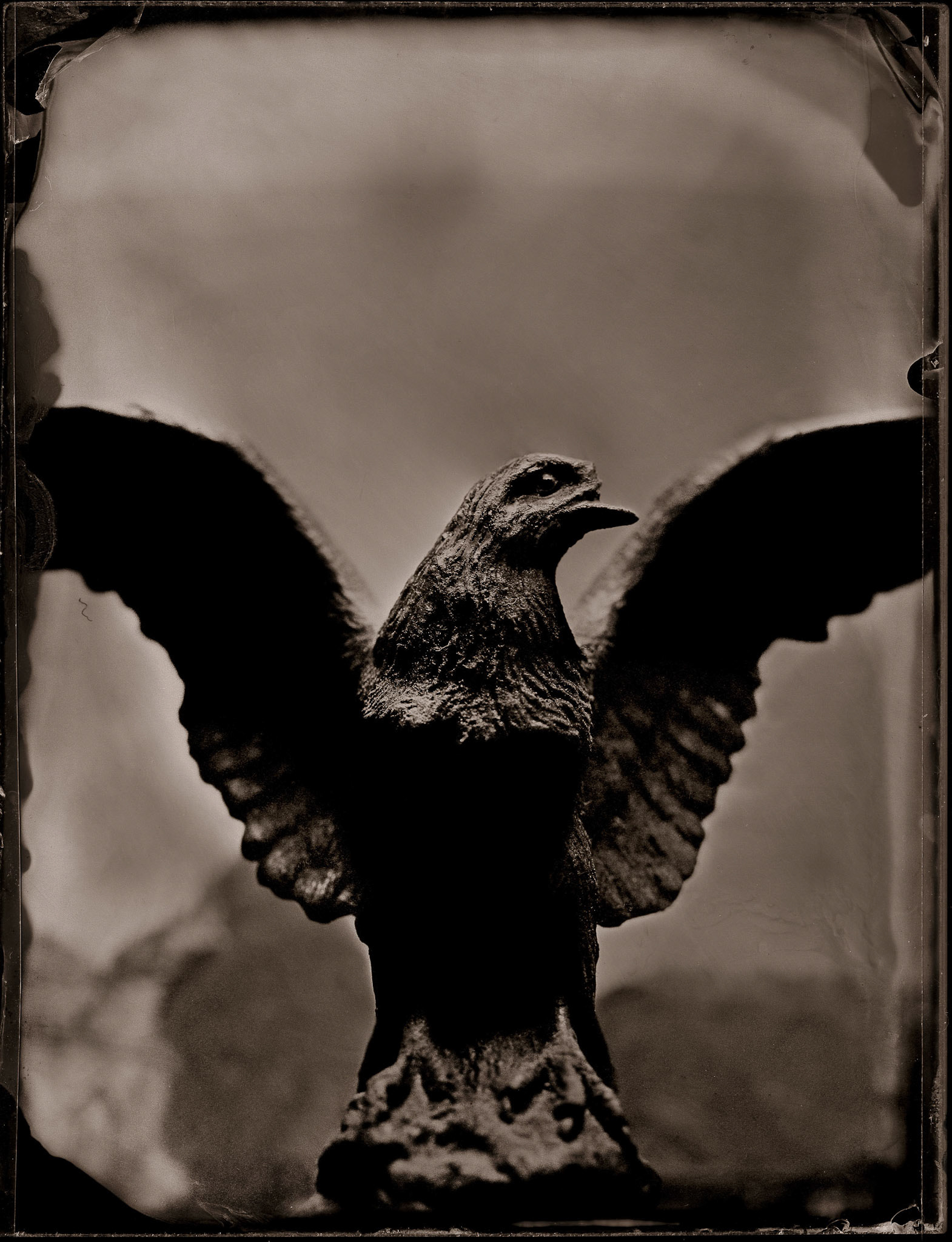 ambrotype wetplate