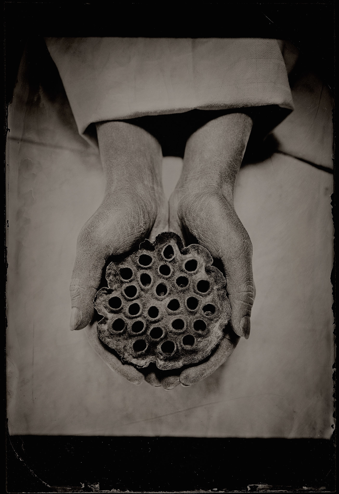 ambrotype wetplate