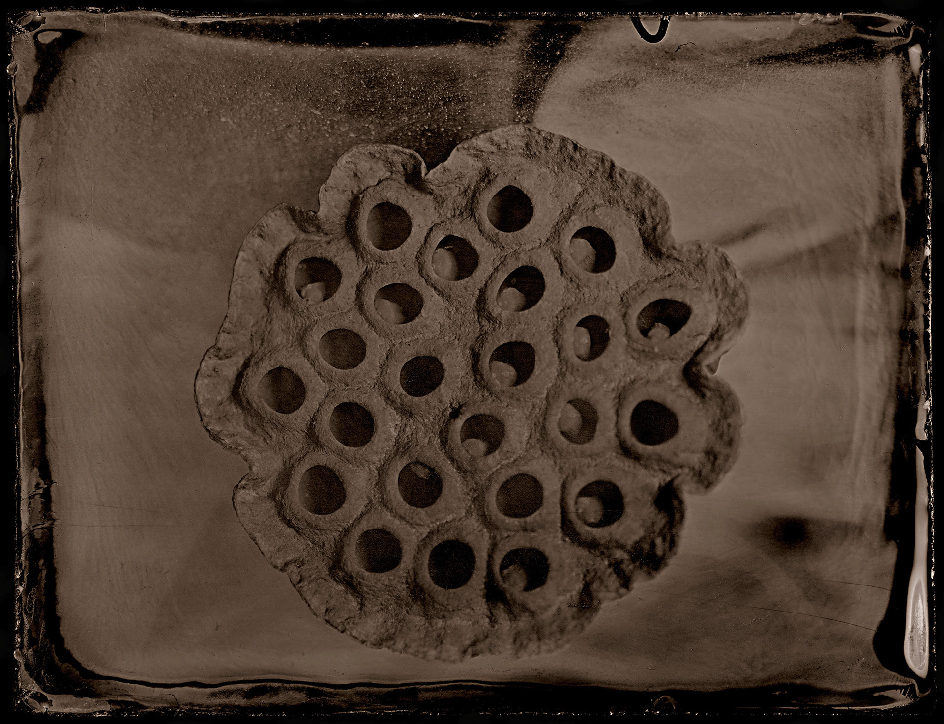 ambrotype wetplate