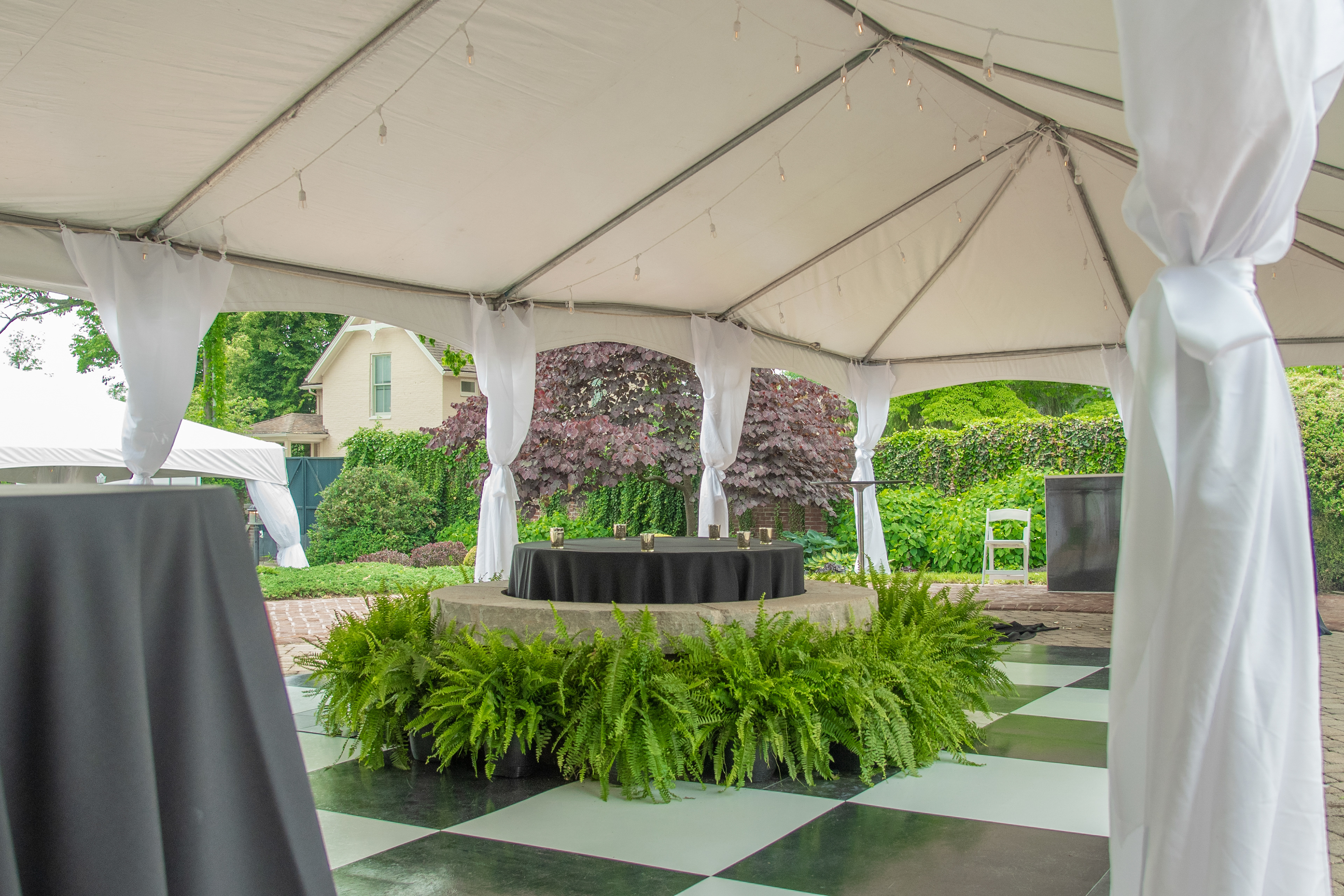 Best Wedding Photographer Versailles, Kentucky, Davron Bowman