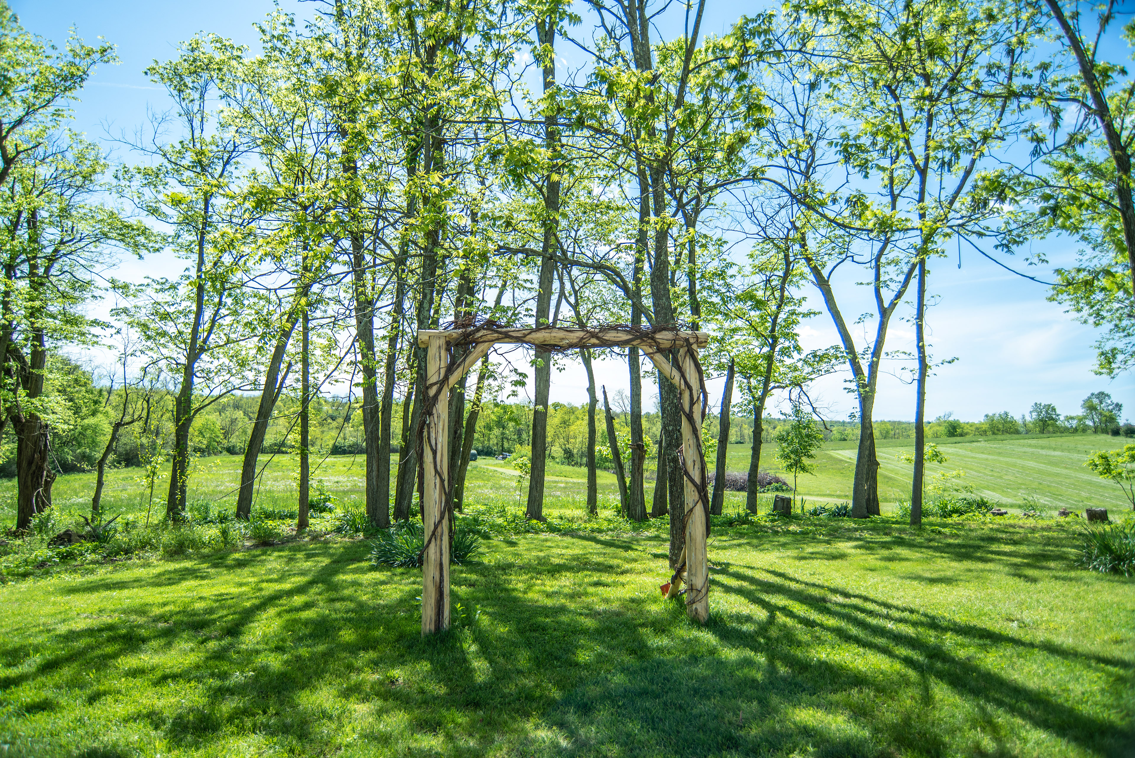 Wedding Photography Services Cynthiana Ky