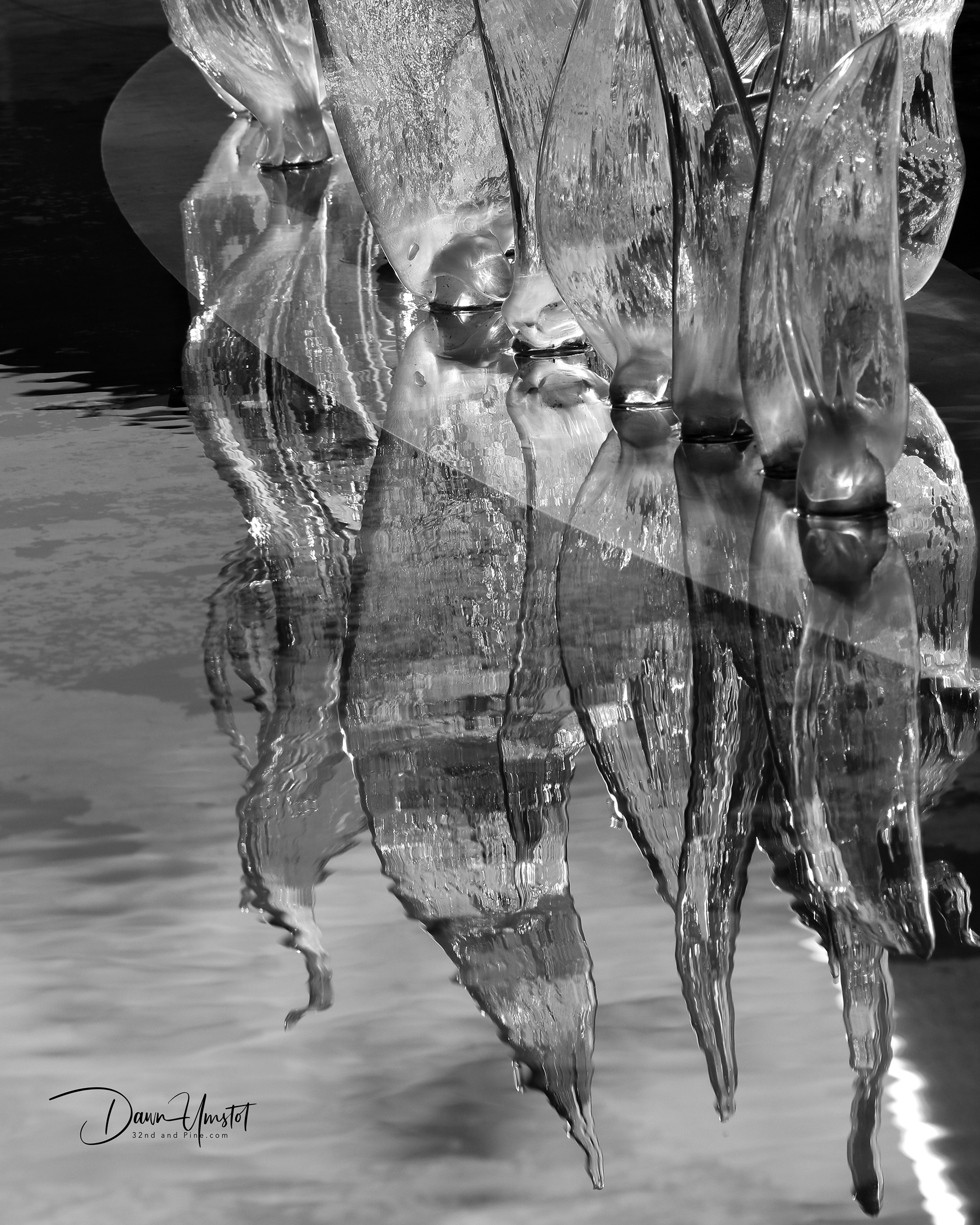 Black and White Reflections