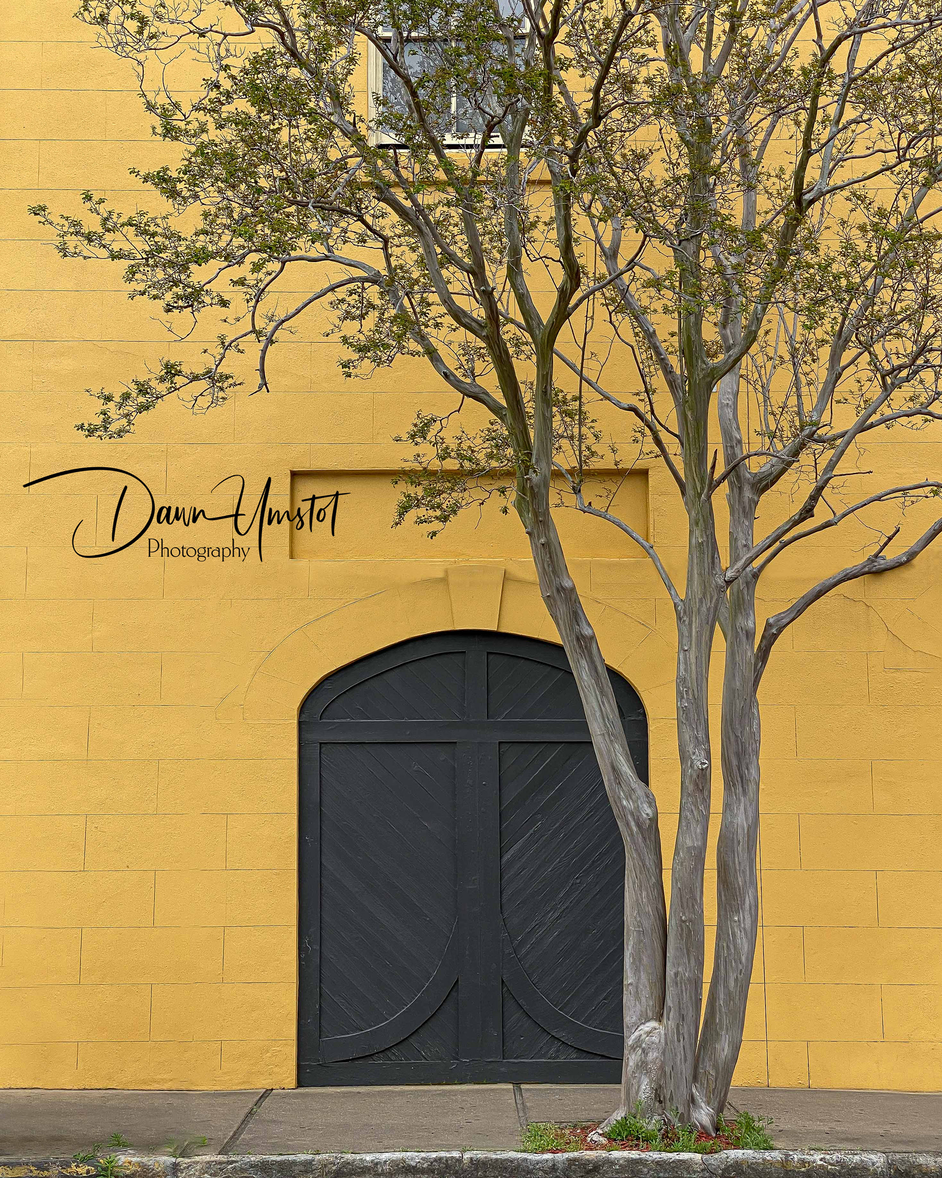 Charleston Door #1