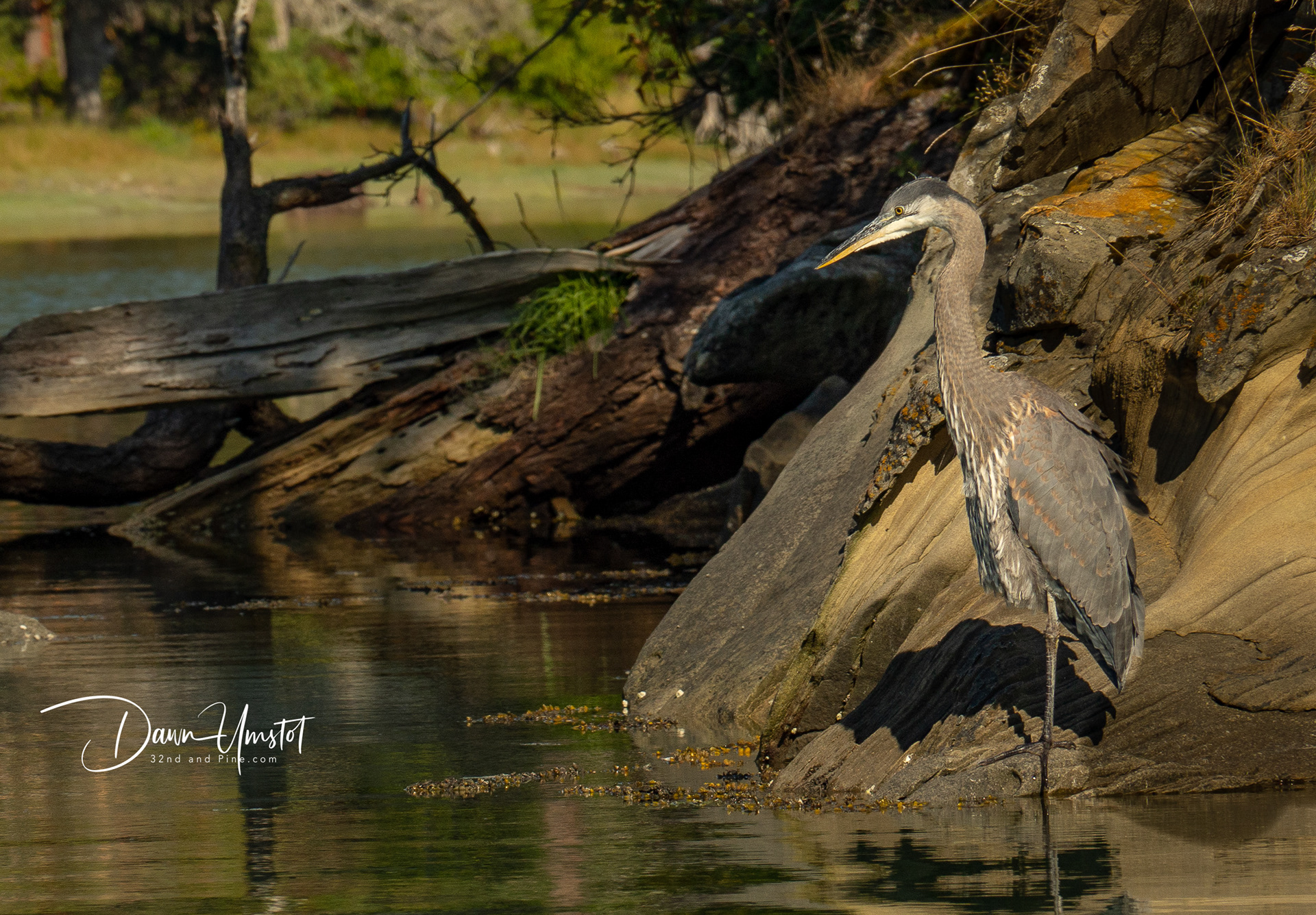 Hunting on Sucia Island
