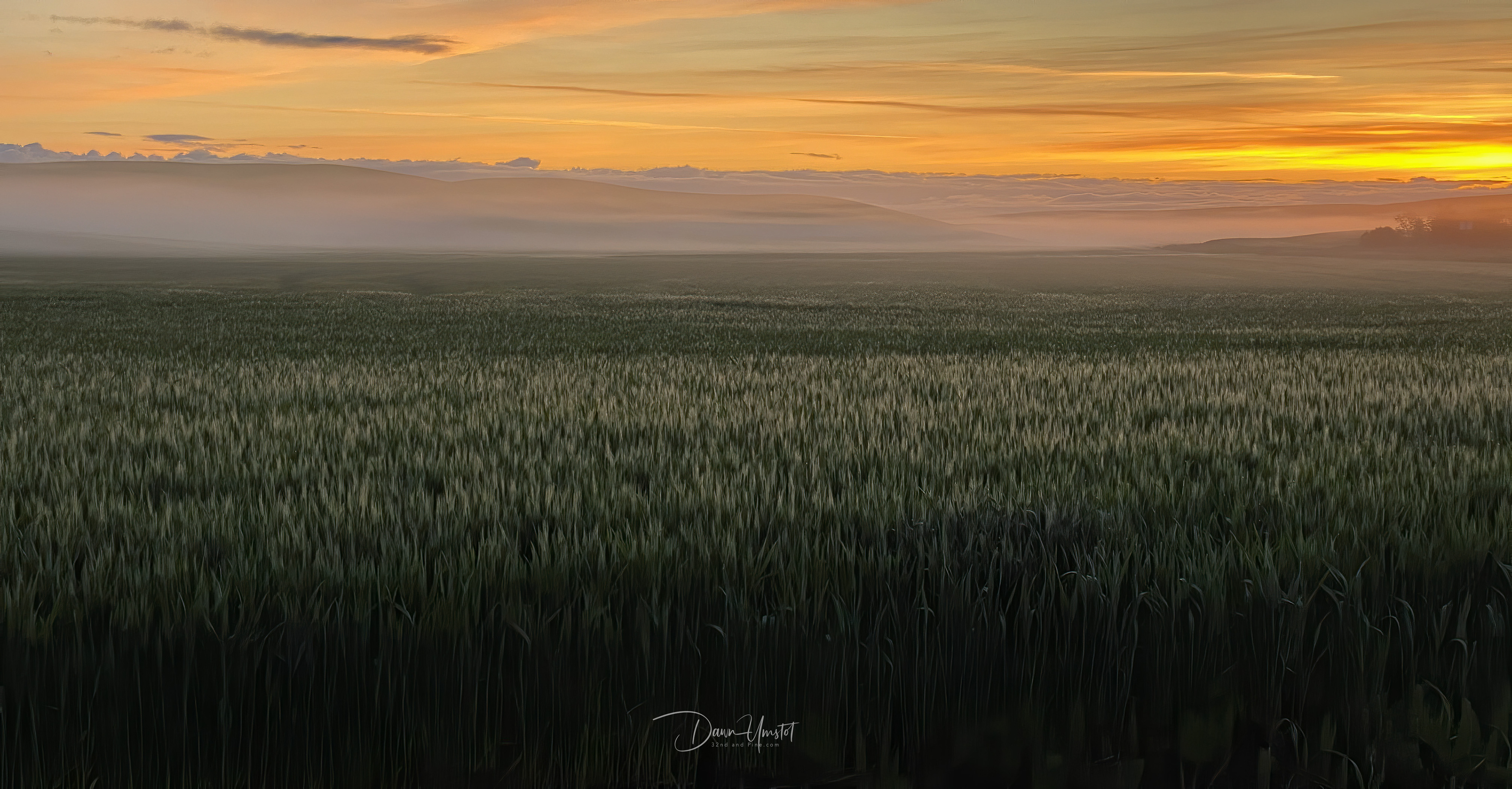 Sunrise in the Wheat