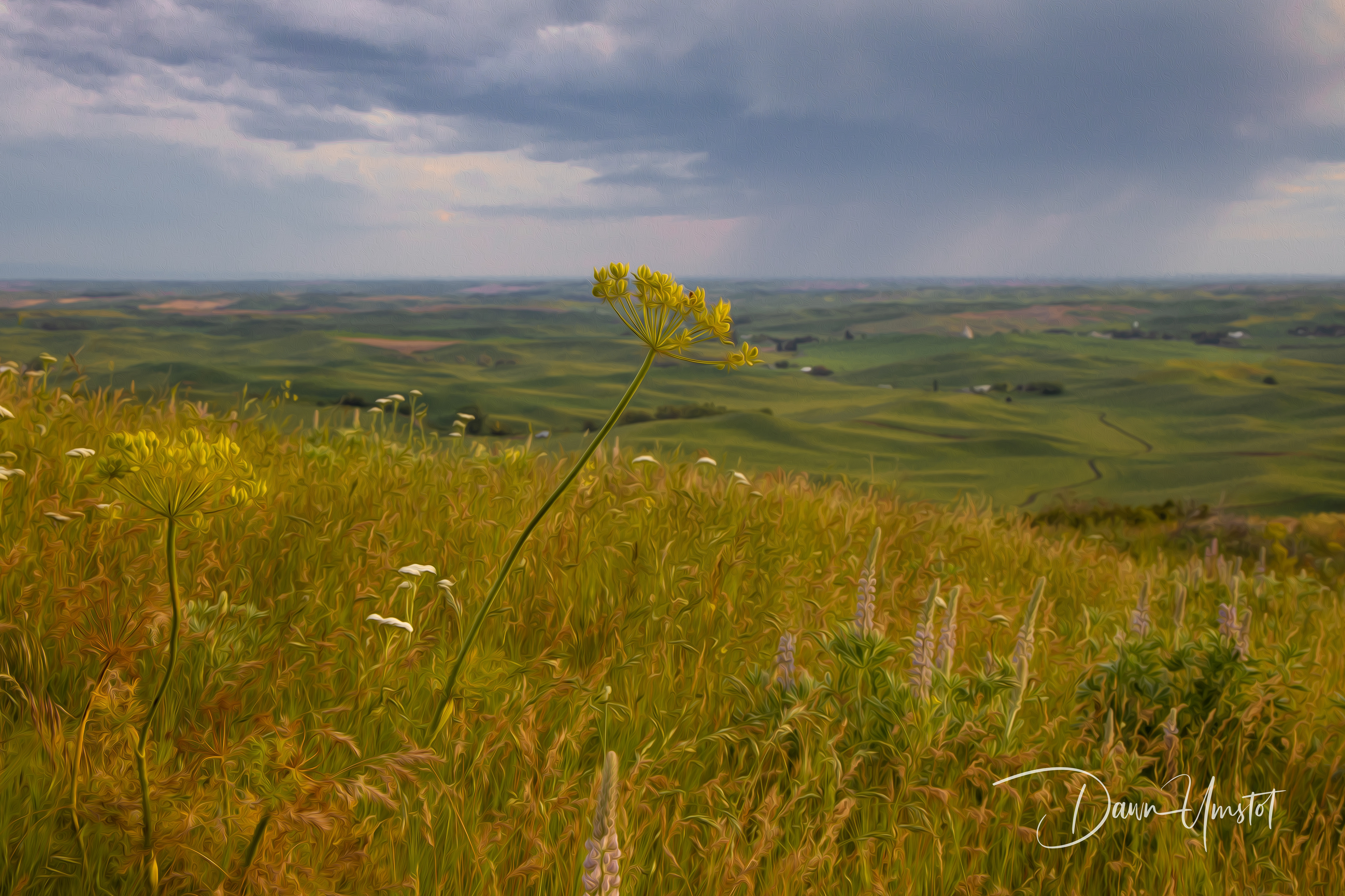 Palouse Flower