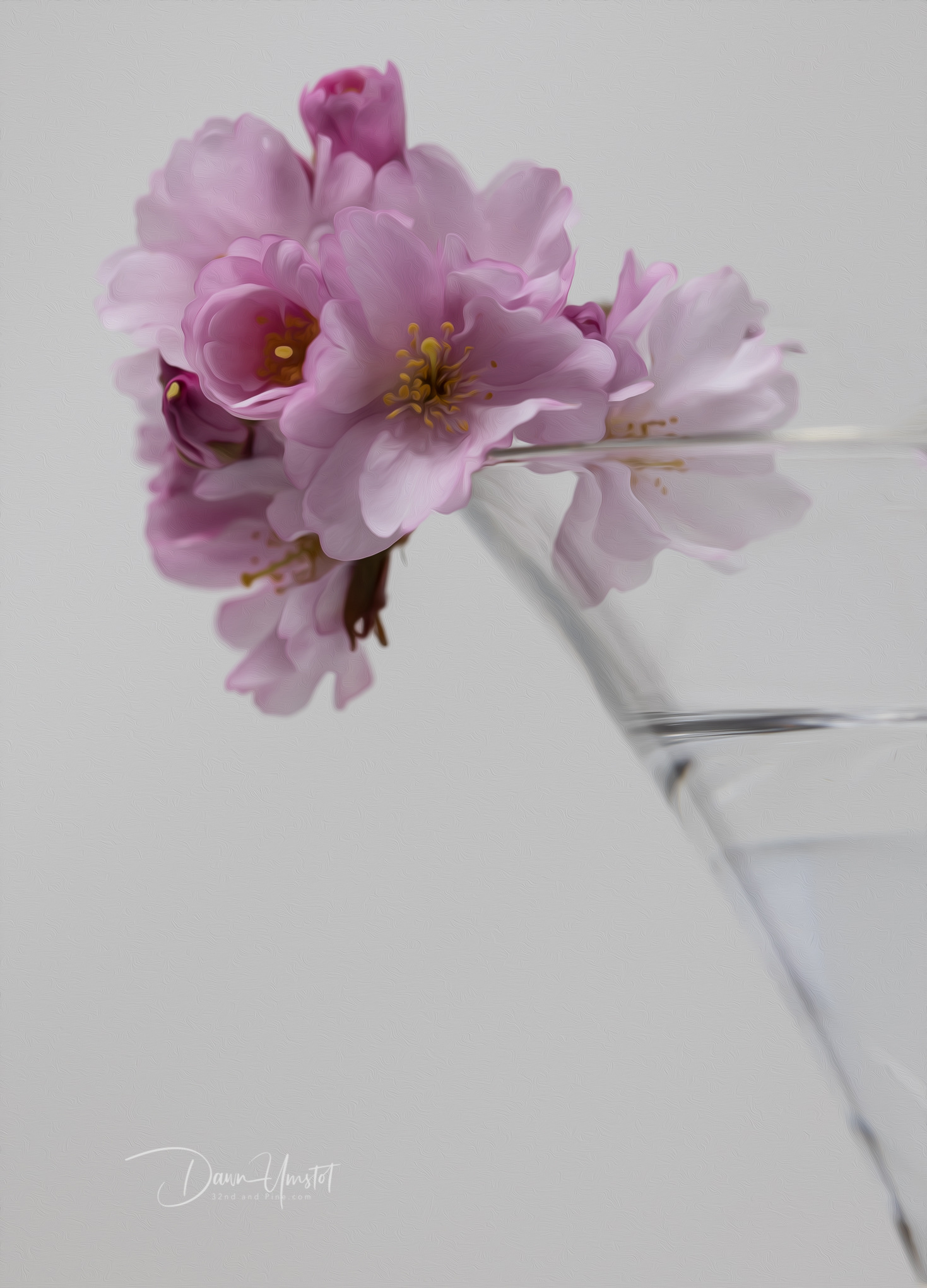 Pink Blossoms