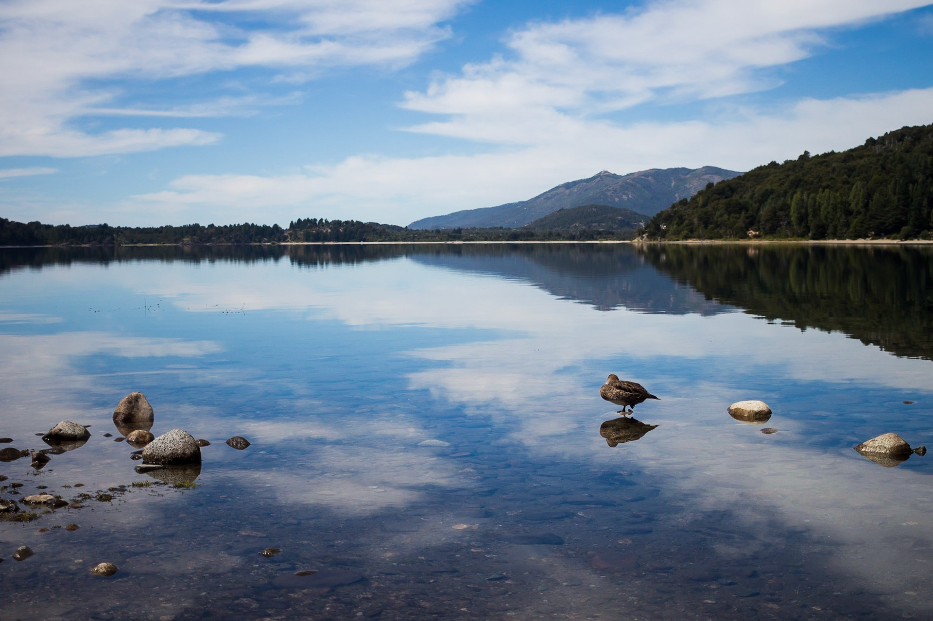 LAGO MORENO