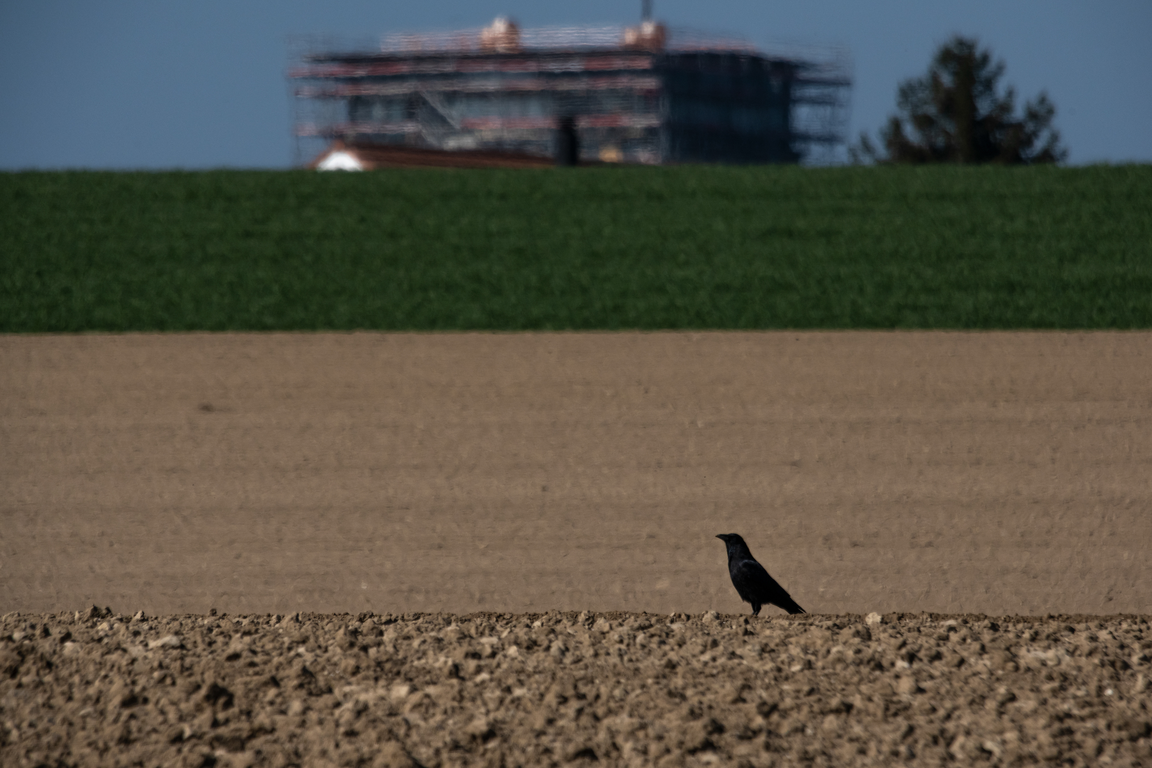 © Rolf Veraguth - Burgdorf, Lerchenboden