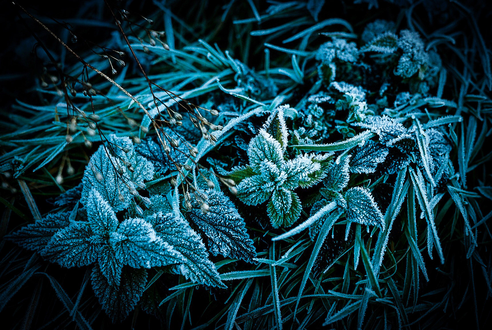  Ektachrome mit Nikon F100