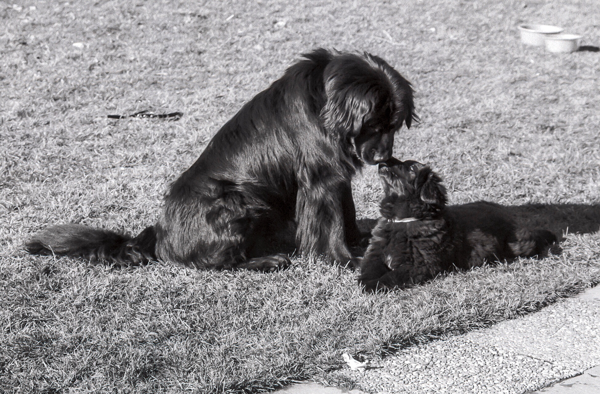 Ilford HP5 mit Konica TC (1975)