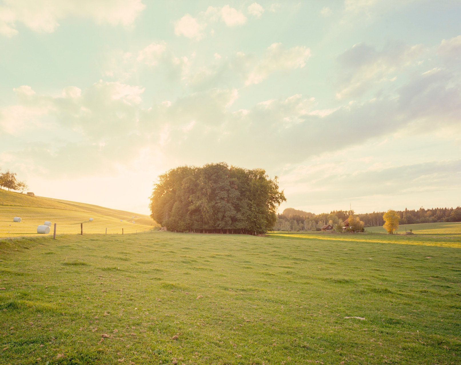Kodak Ektar mit Mamiya 7 (2 Blenden Überbelichtung)