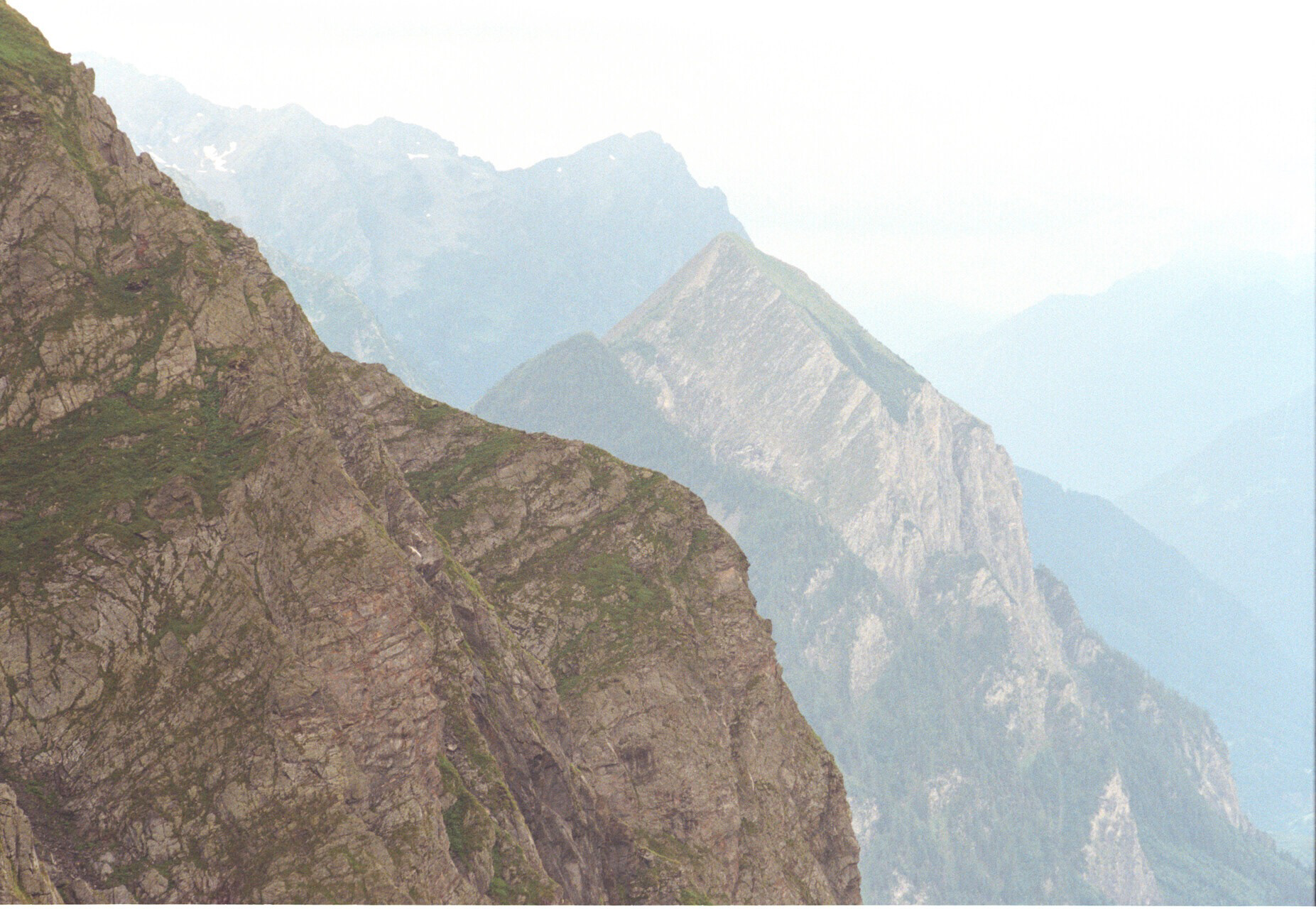 Kodak Pro 100 mit Konica FC-1