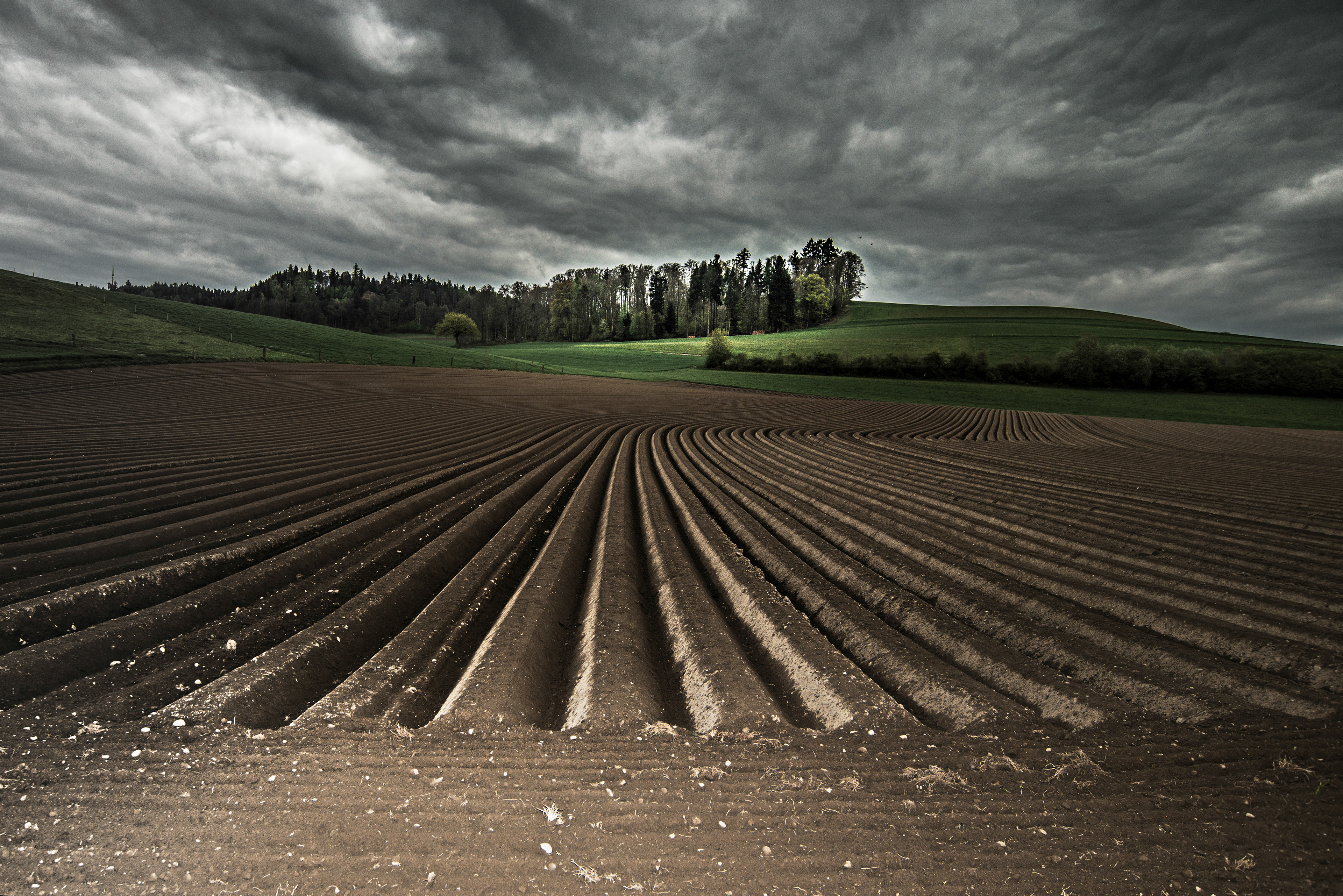 © Rolf Veraguth - Meiemoos, Burgdorf