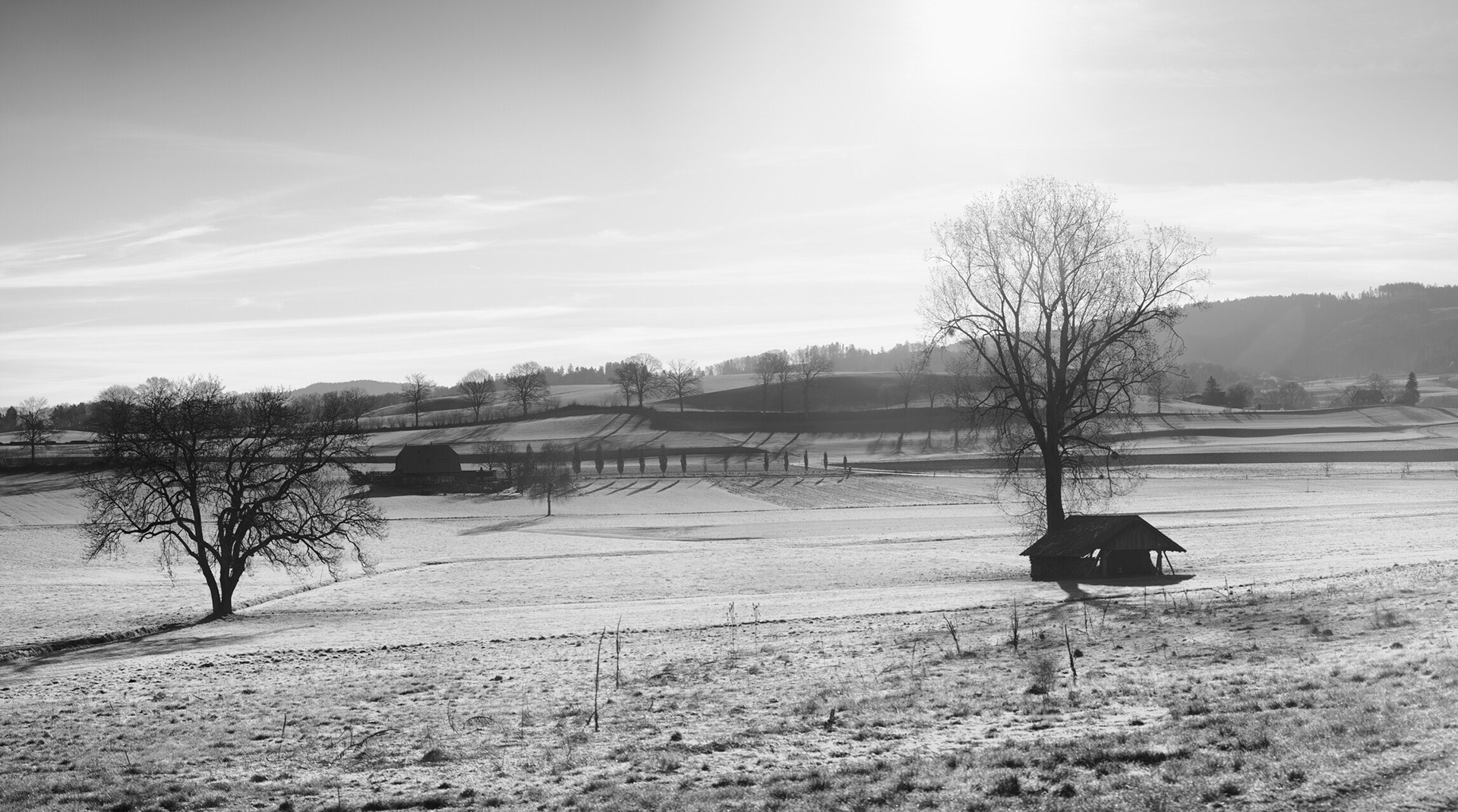 © Rolf Veraguth - Beitenwil