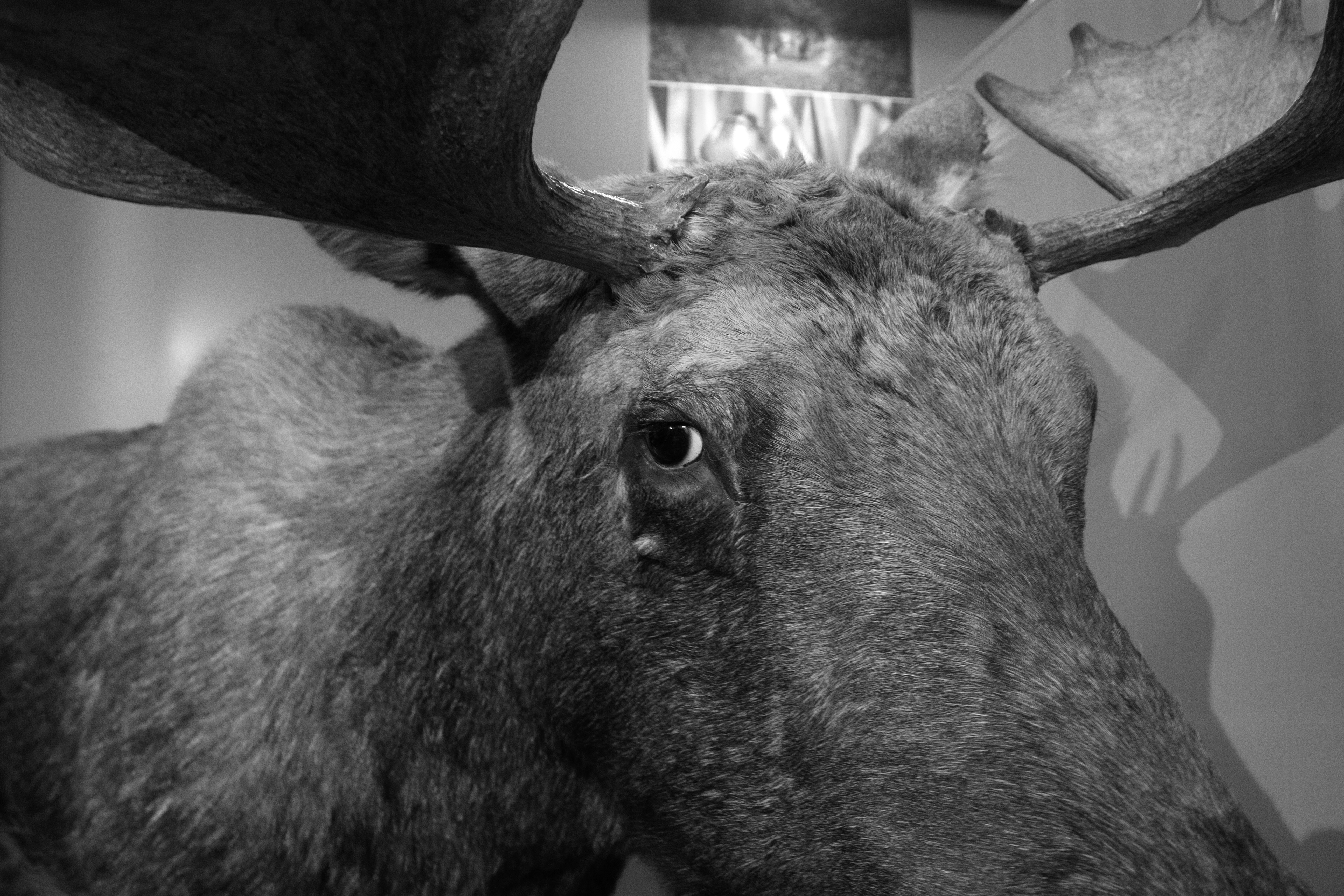 Buffalo Museum of Science. Buffalo, NY