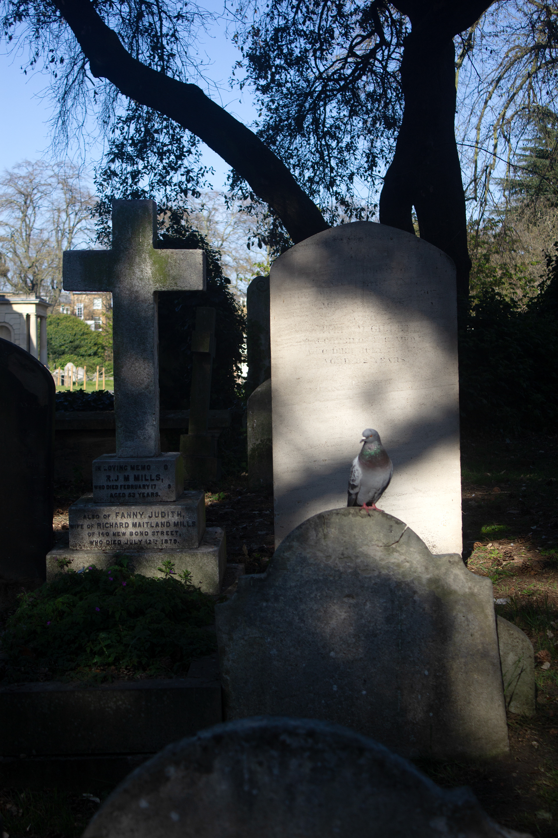 BROMPTON CEMETERY. LONDON, UK