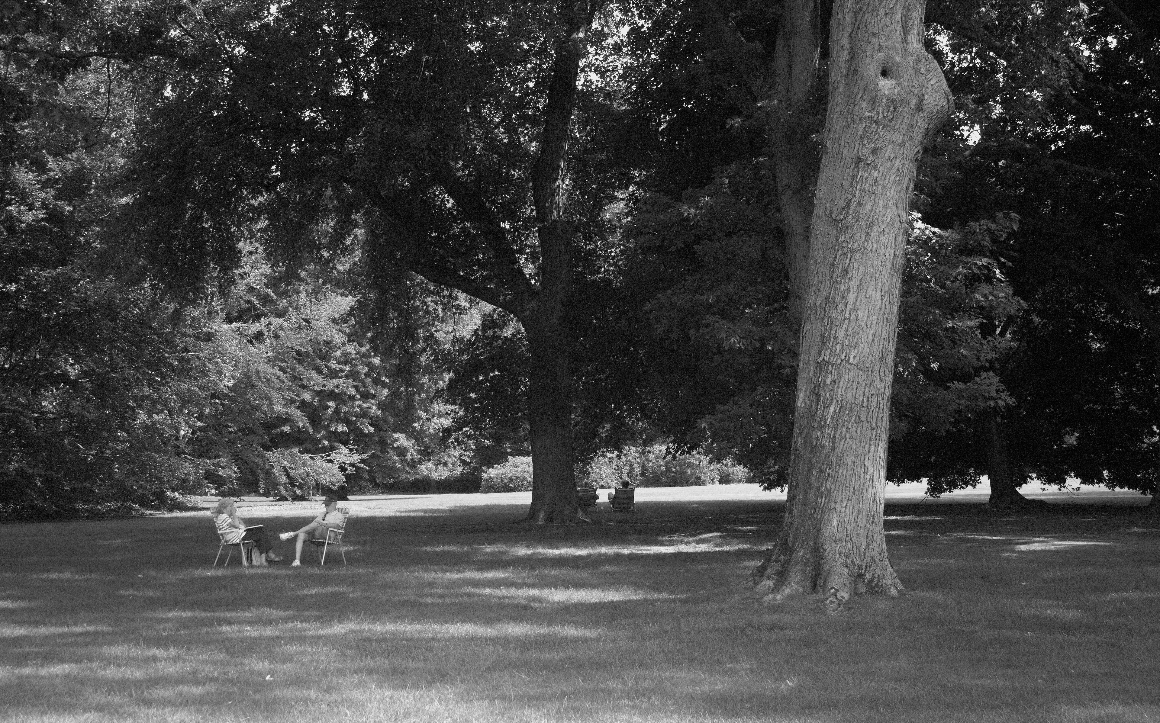 Visitors enjoying their day outside on the North Allée lawn of the Westbury House. Old Westbury, NY.