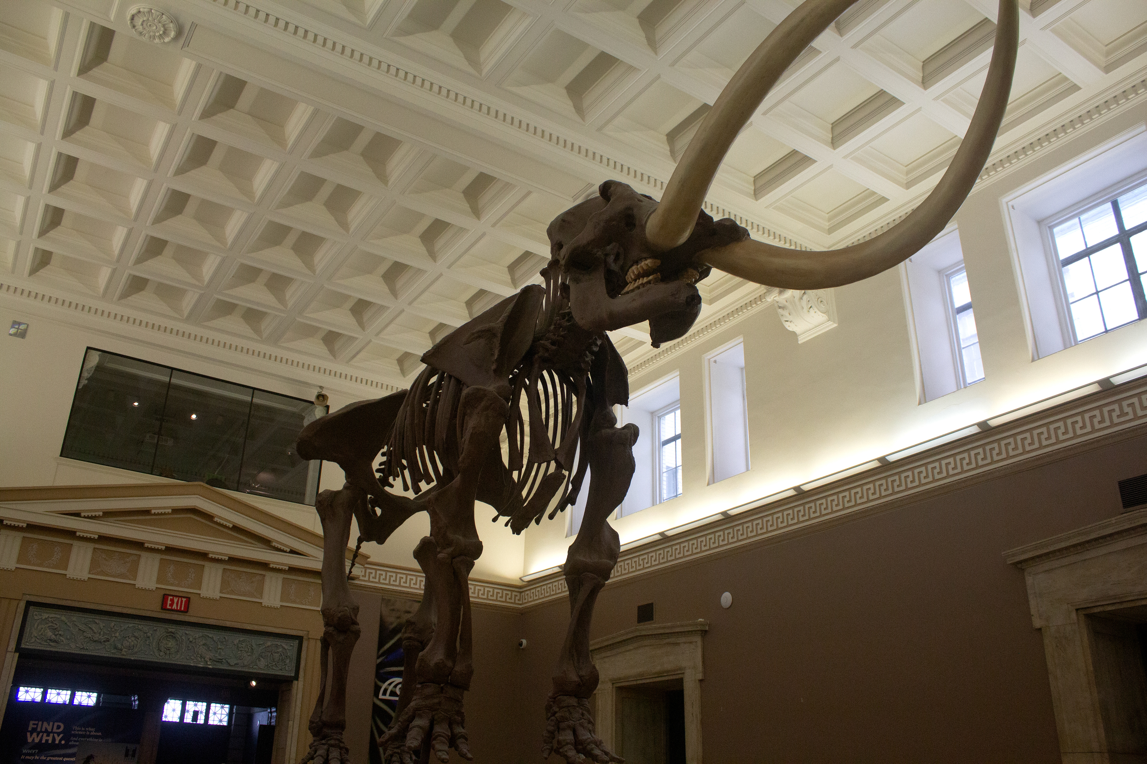 Buffalo Museum of Science. Buffalo, NY