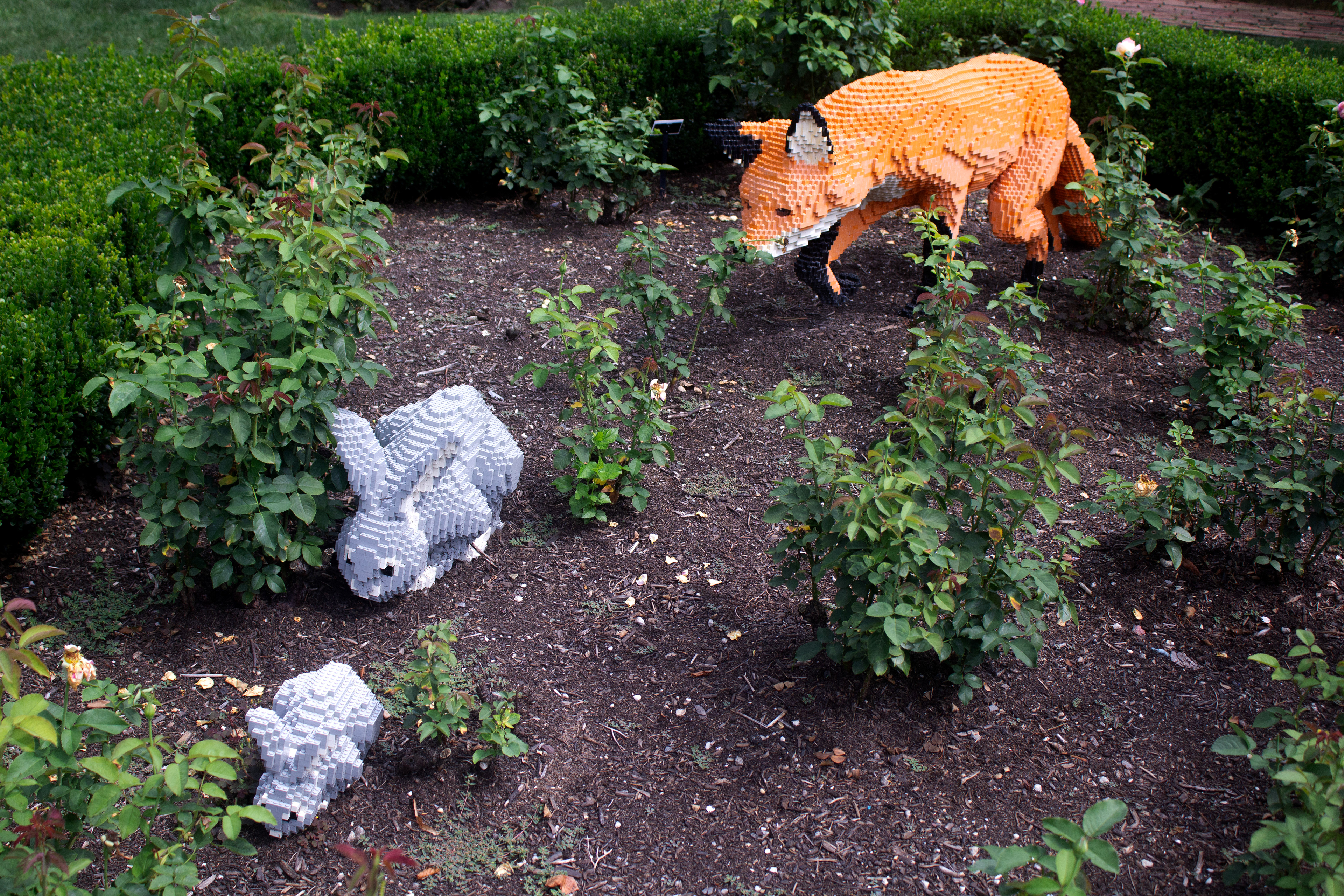 Lego animals on the Rose Garden. Old Westbury, NY.