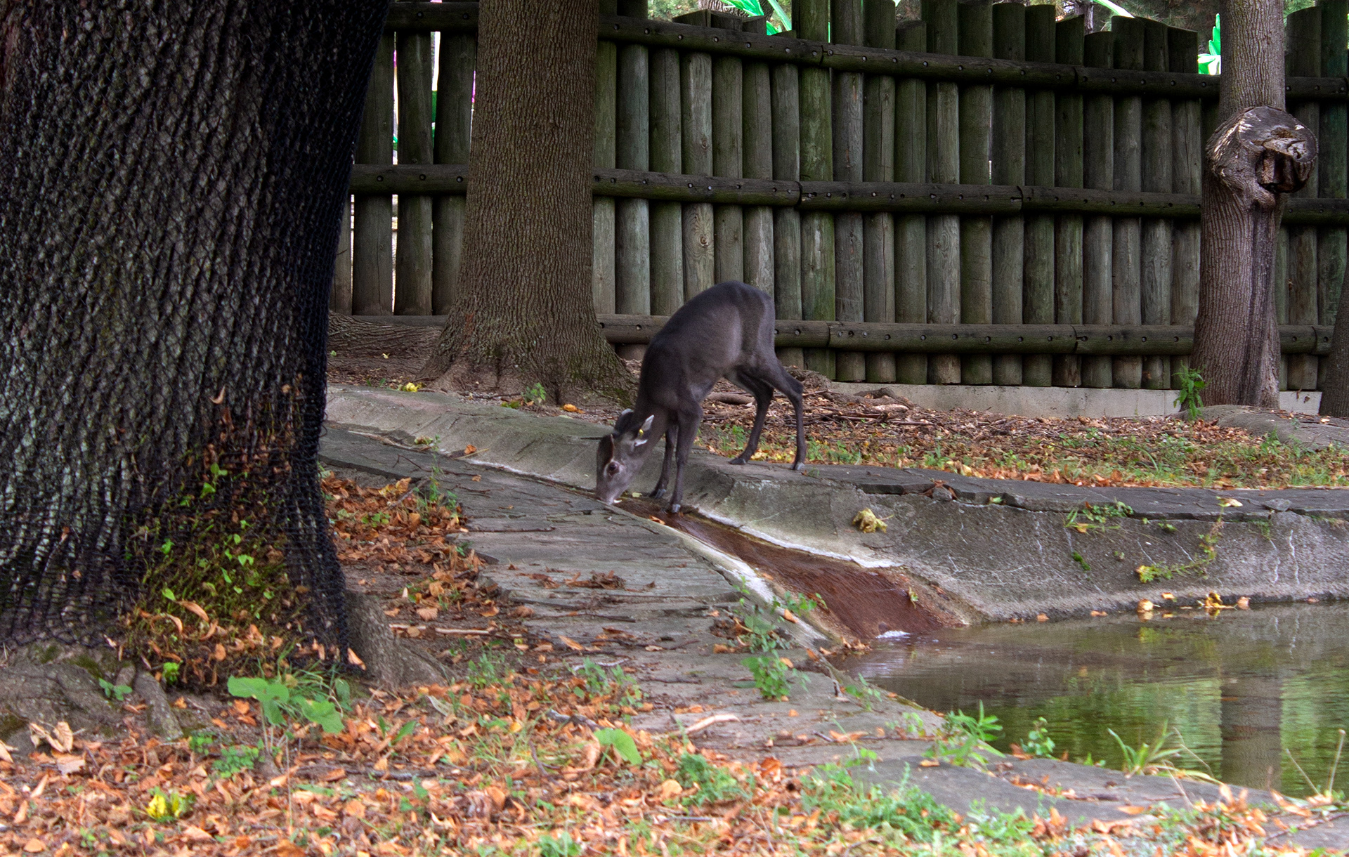 Buffalo Zoo. Buffalo, NY