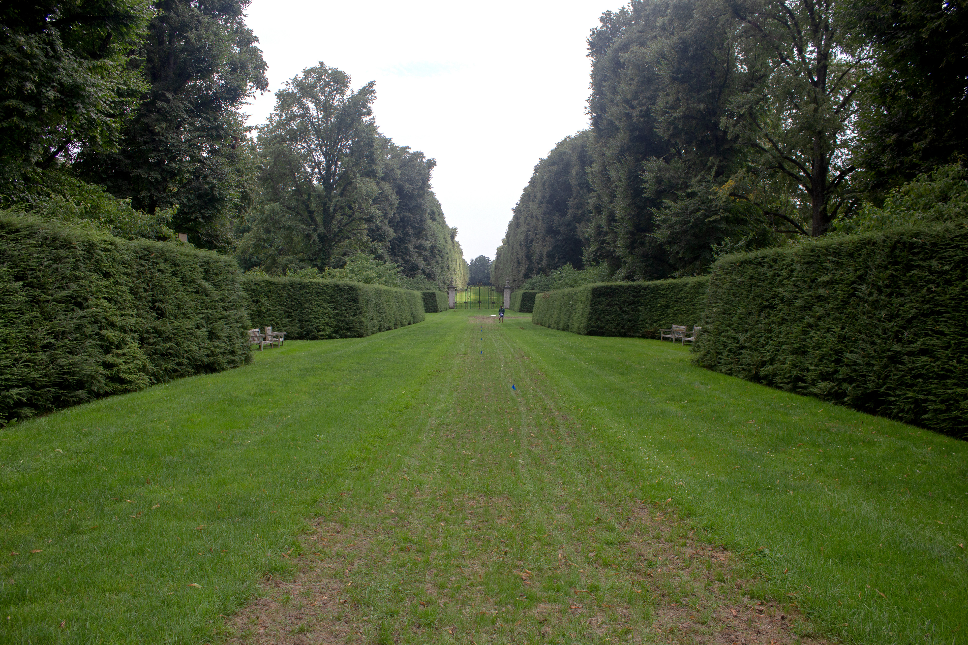 The front view of the South Allée. Old Westbury, NY.