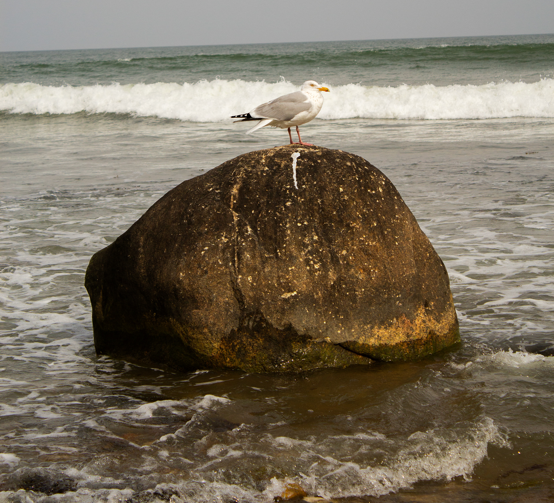 Montauk, NY