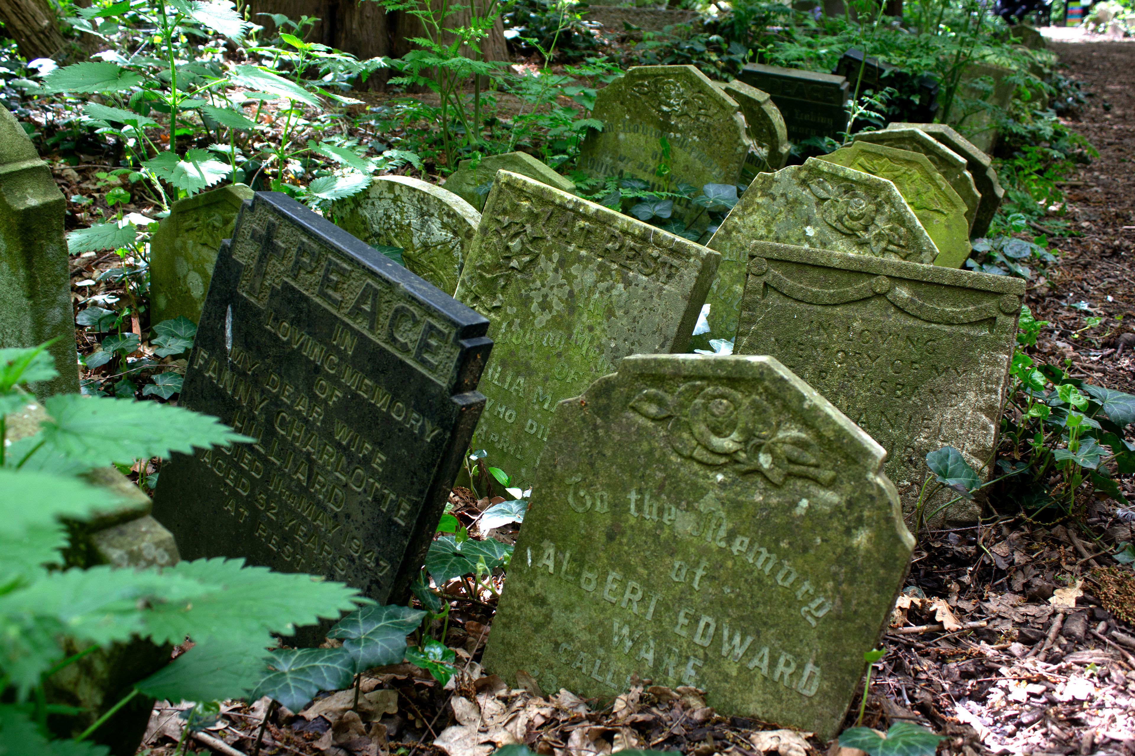 ABNEY PARK CEMETERY. LONDON, UK